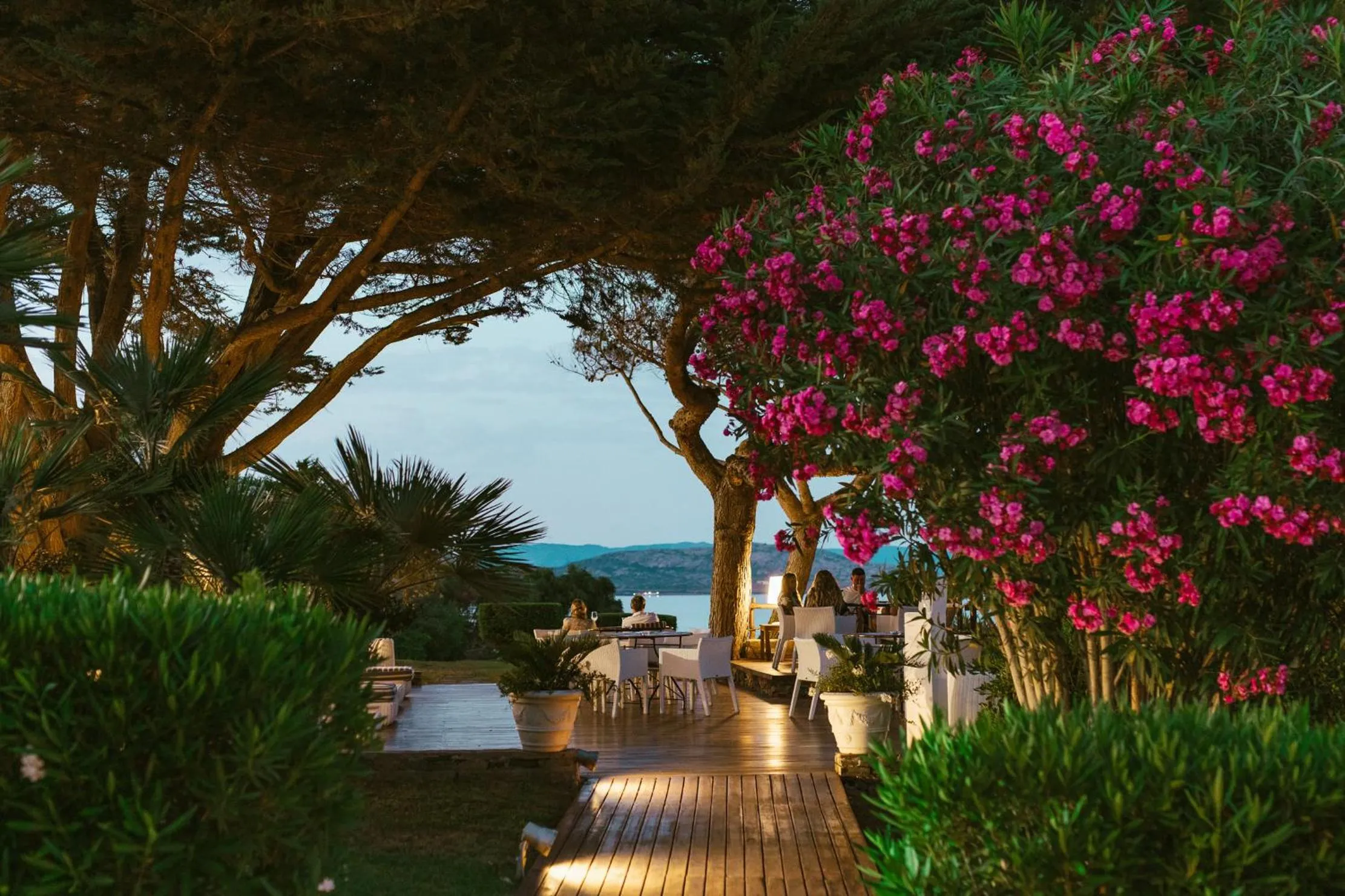 Garden in UNAHOTELS Club Hotel Ancora