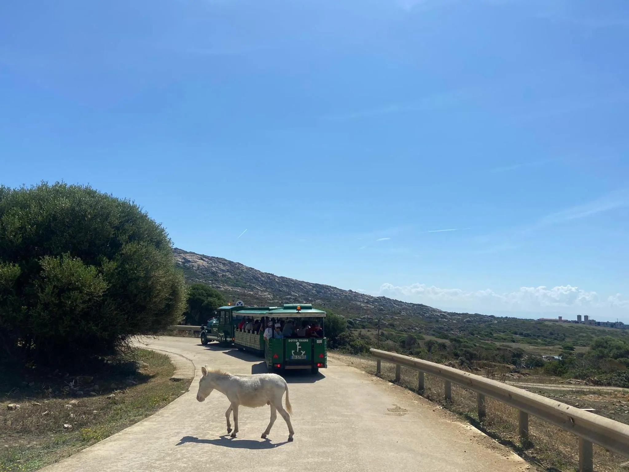 Hiking in UNAHOTELS Club Hotel Ancora