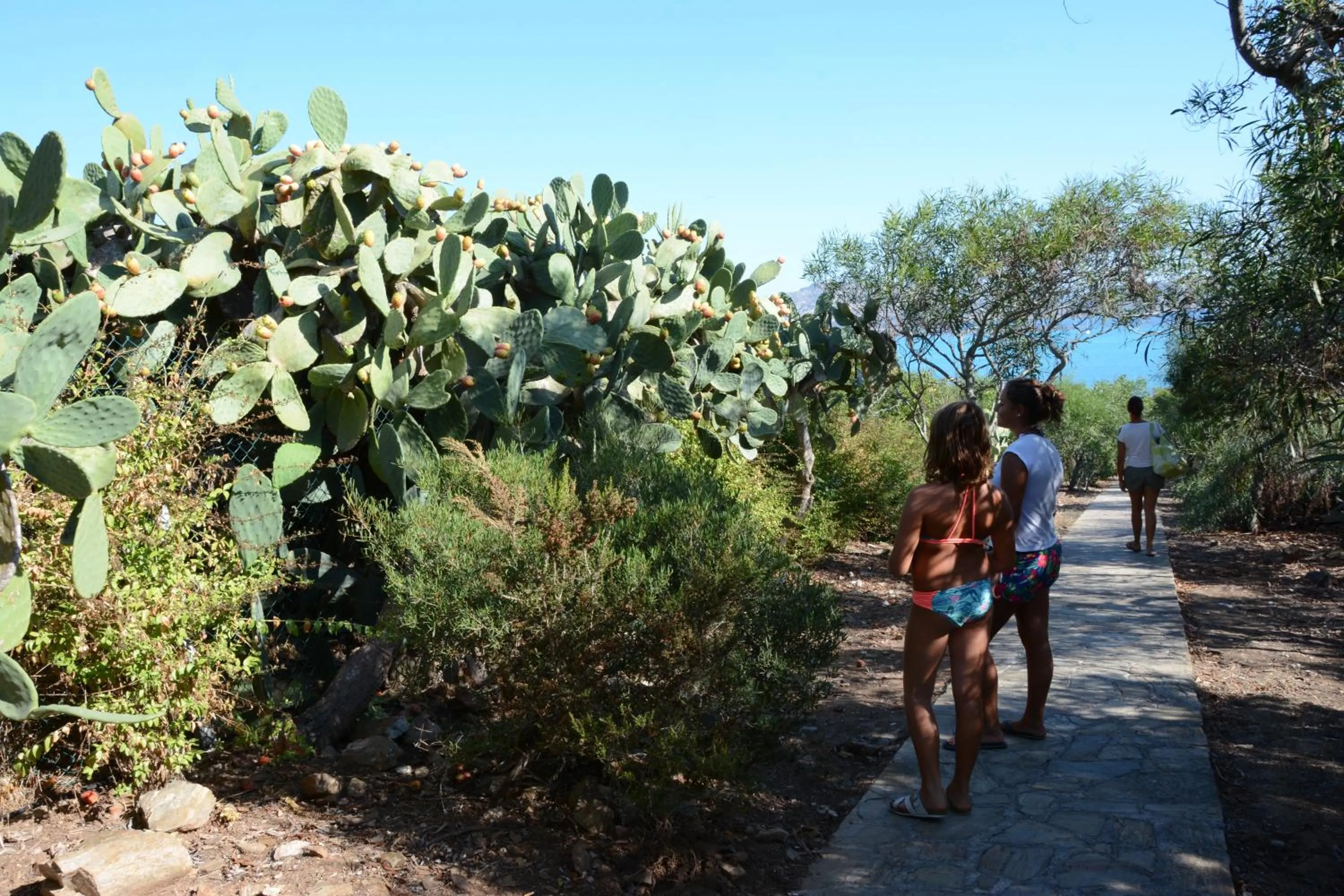 Garden in UNAHOTELS Club Hotel Ancora