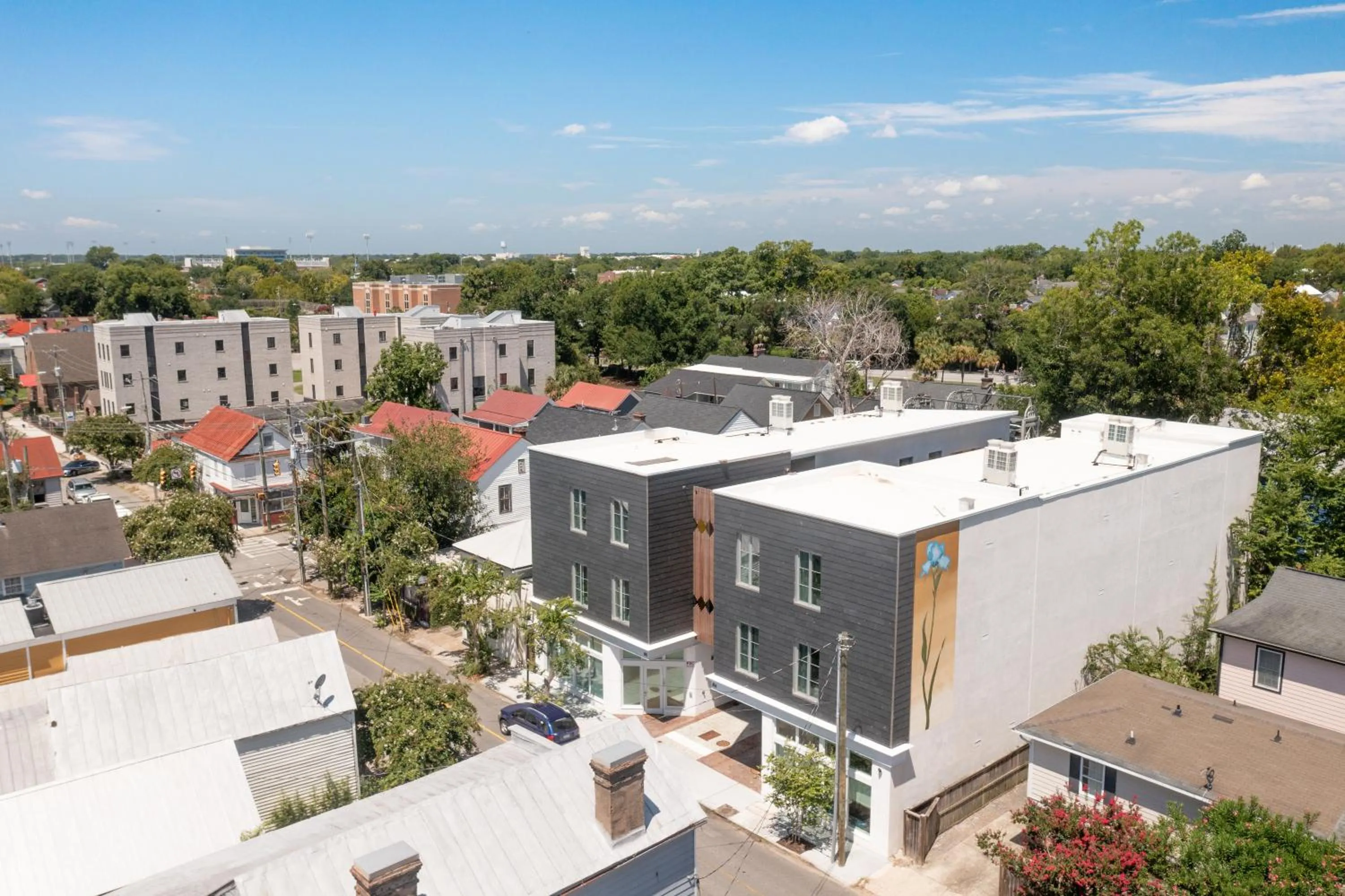 Property building in The Iris