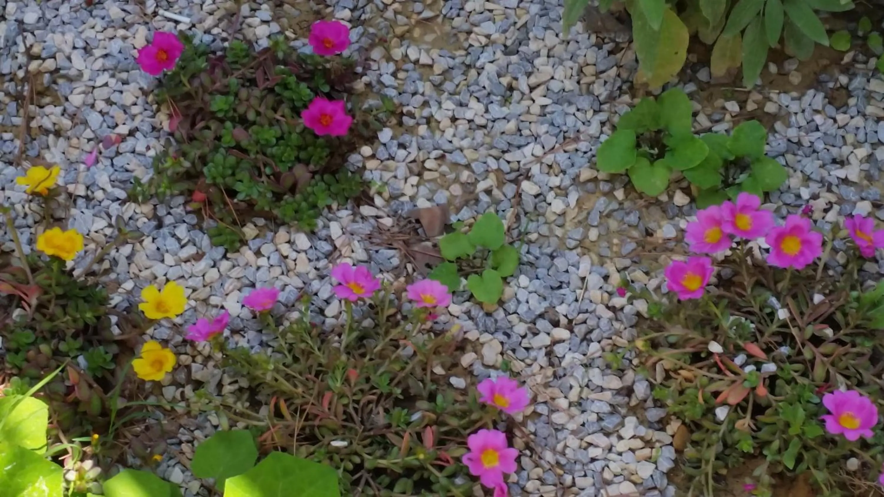 Garden in Hotel Panoramic Montepulciano