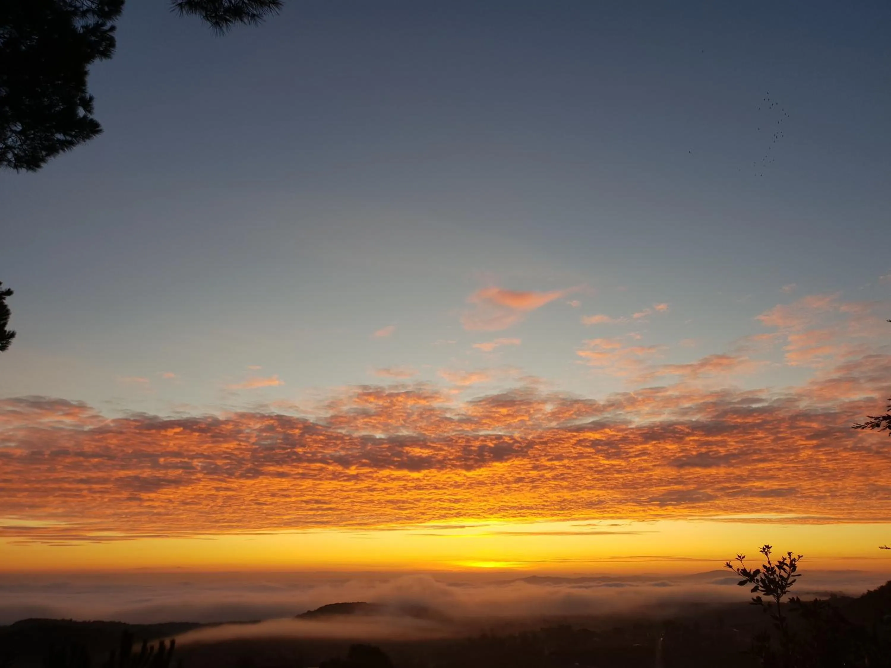 Natural landscape in Hotel Panoramic Montepulciano