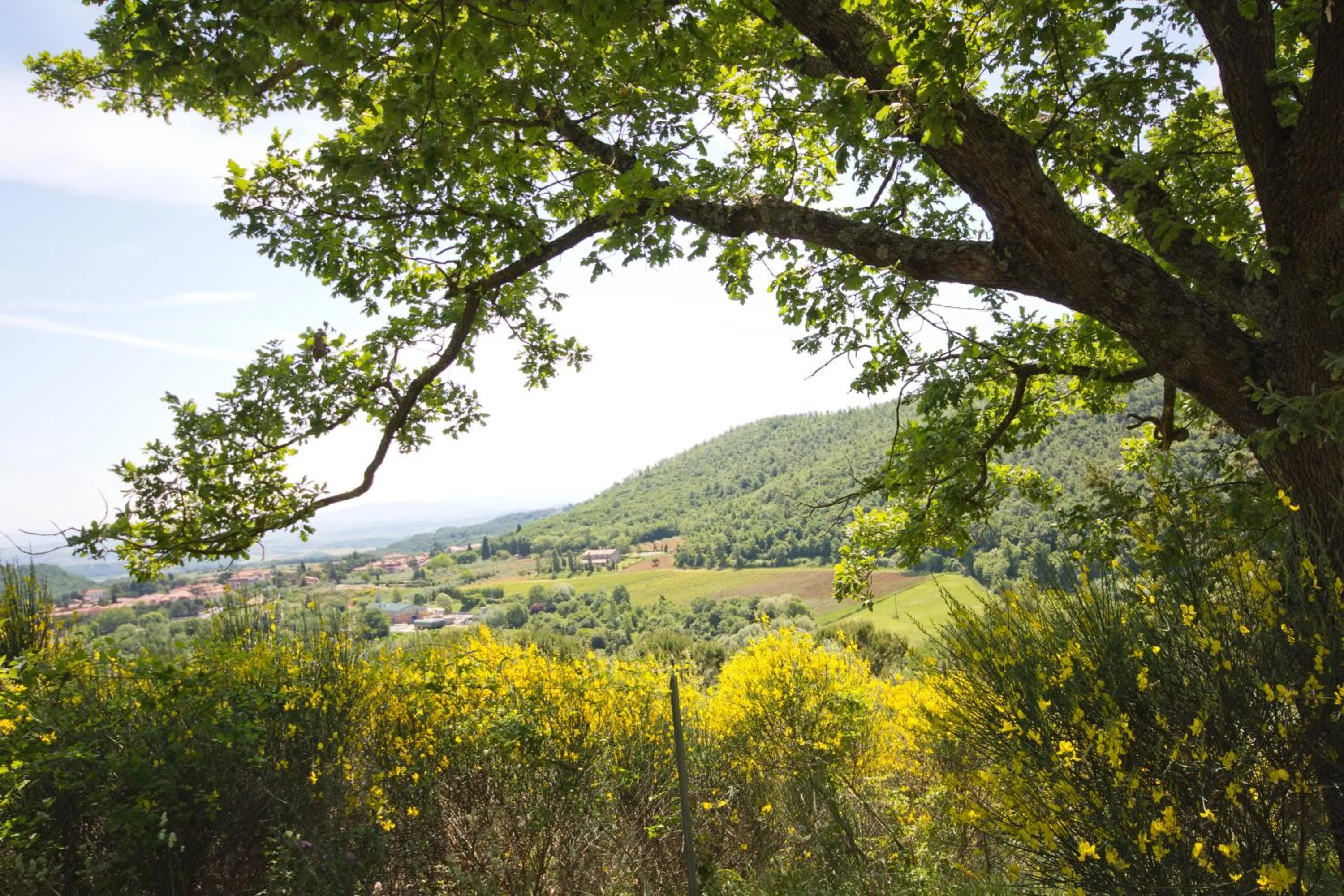 Nearby landmark in Hotel Panoramic Montepulciano