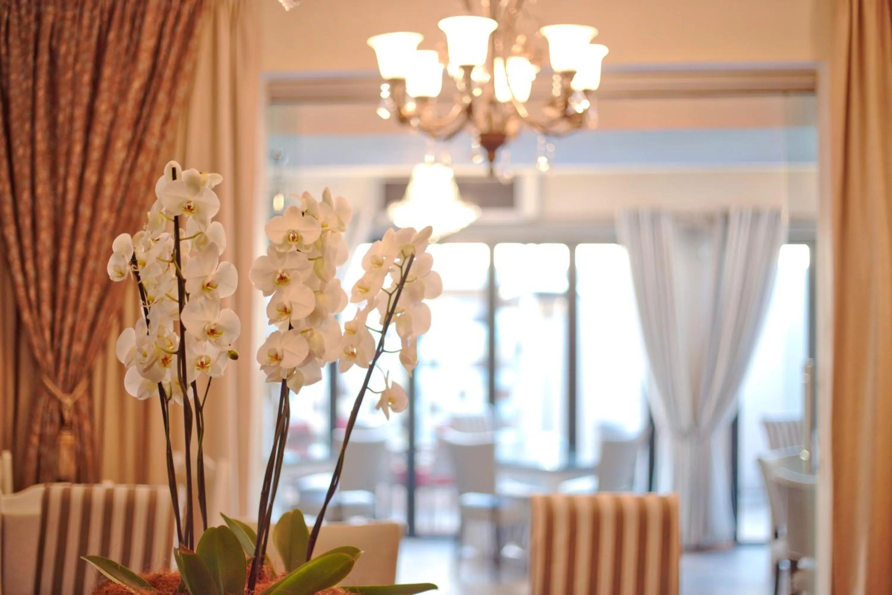 Restaurant/places to eat in Oleander Guest House