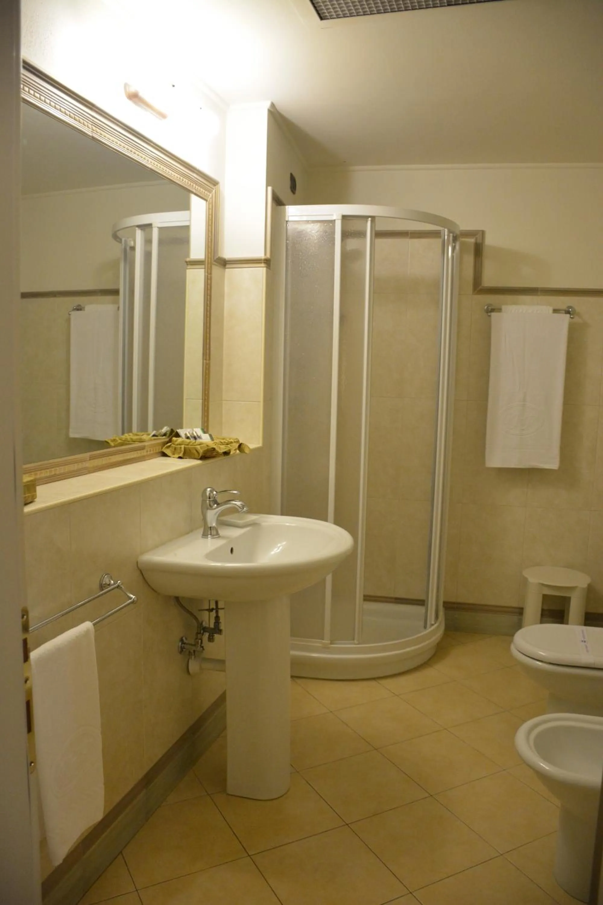 Shower in Romantic Hotel Furno