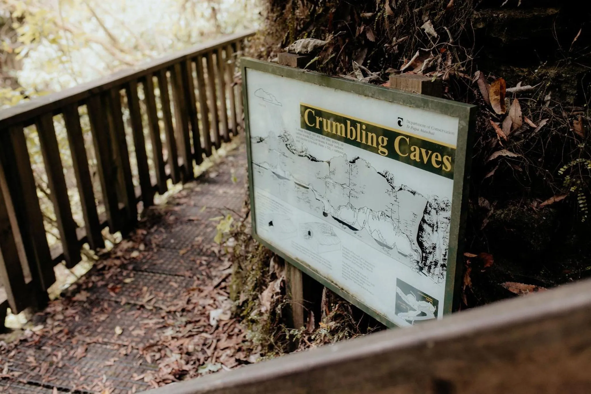 Nearby landmark in Waitomo Village Chalets home of Kiwipaka