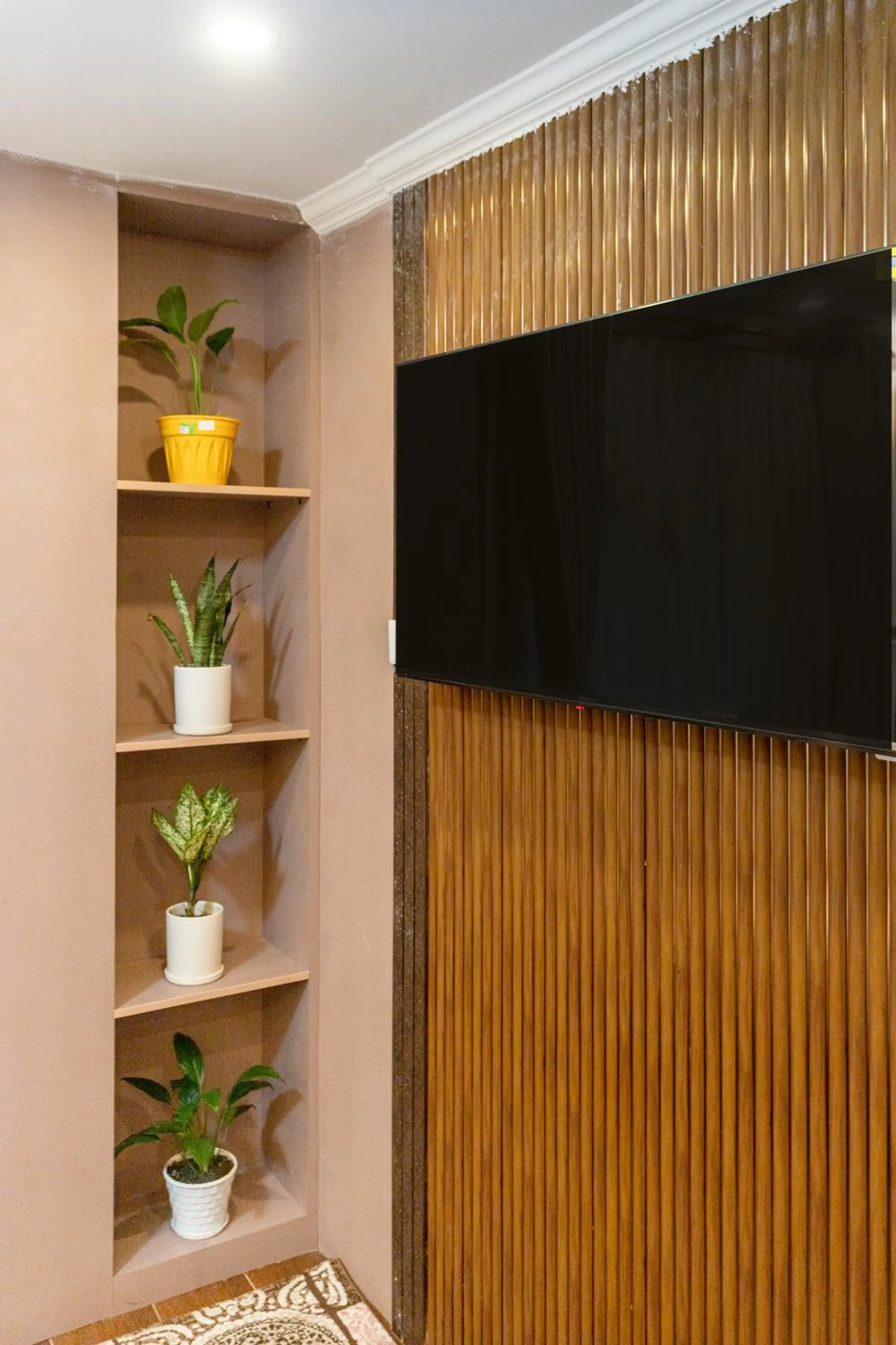 TV and multimedia in Hotel Airport Deepshree