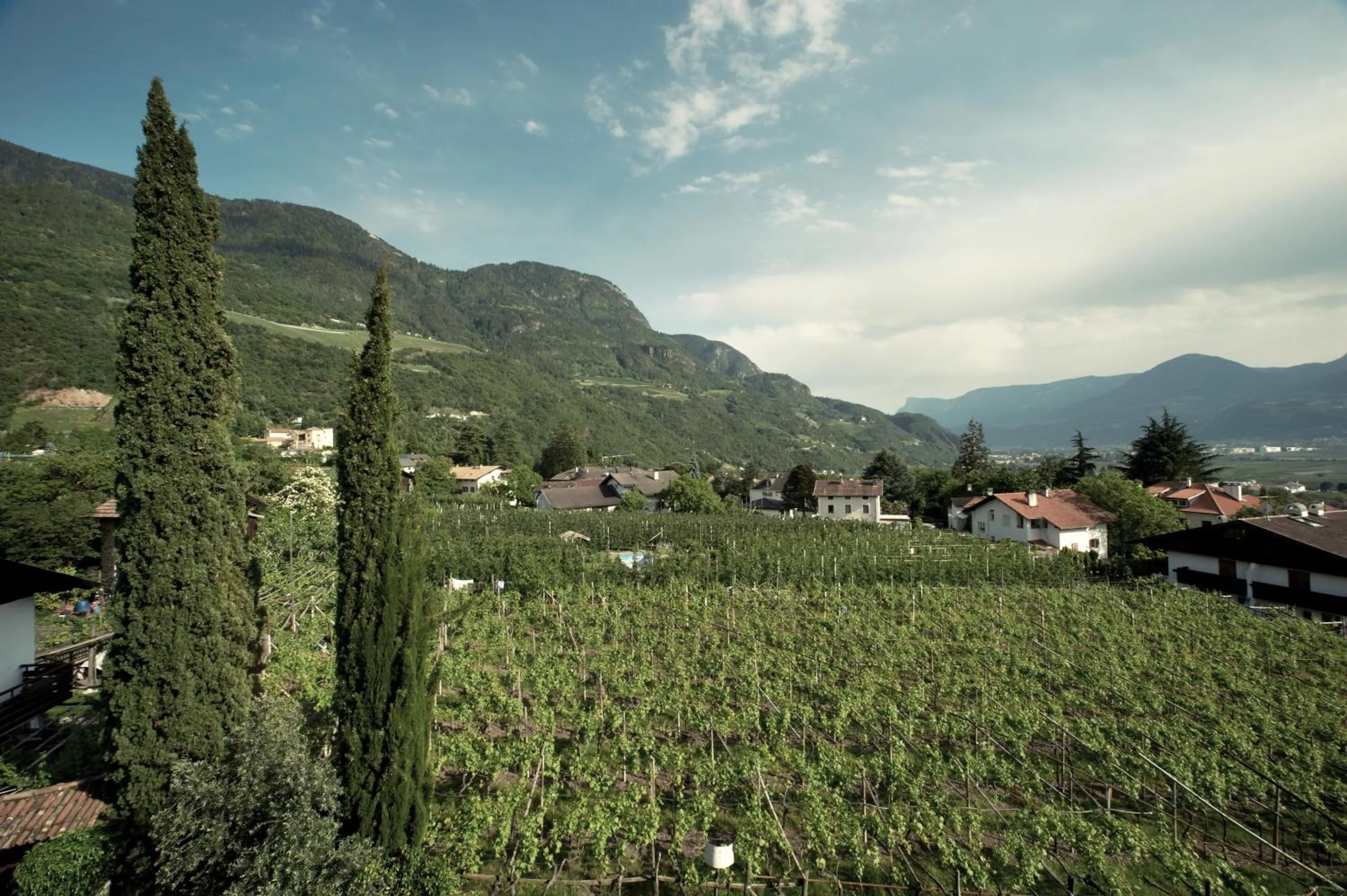 View (from property/room) in Hotel Ladurner