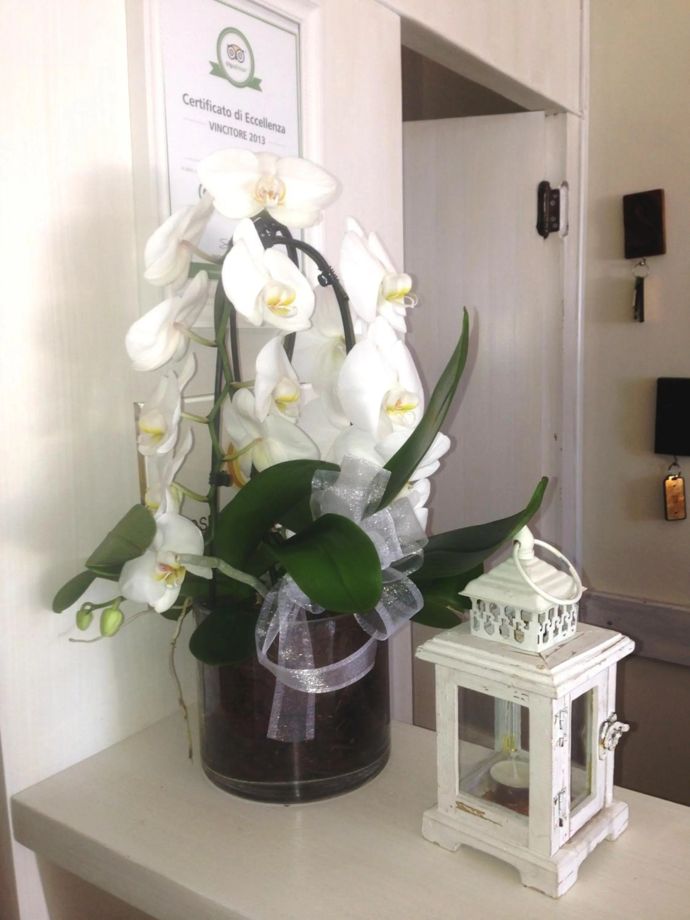 Lobby or reception in Hotel Villa Aurora