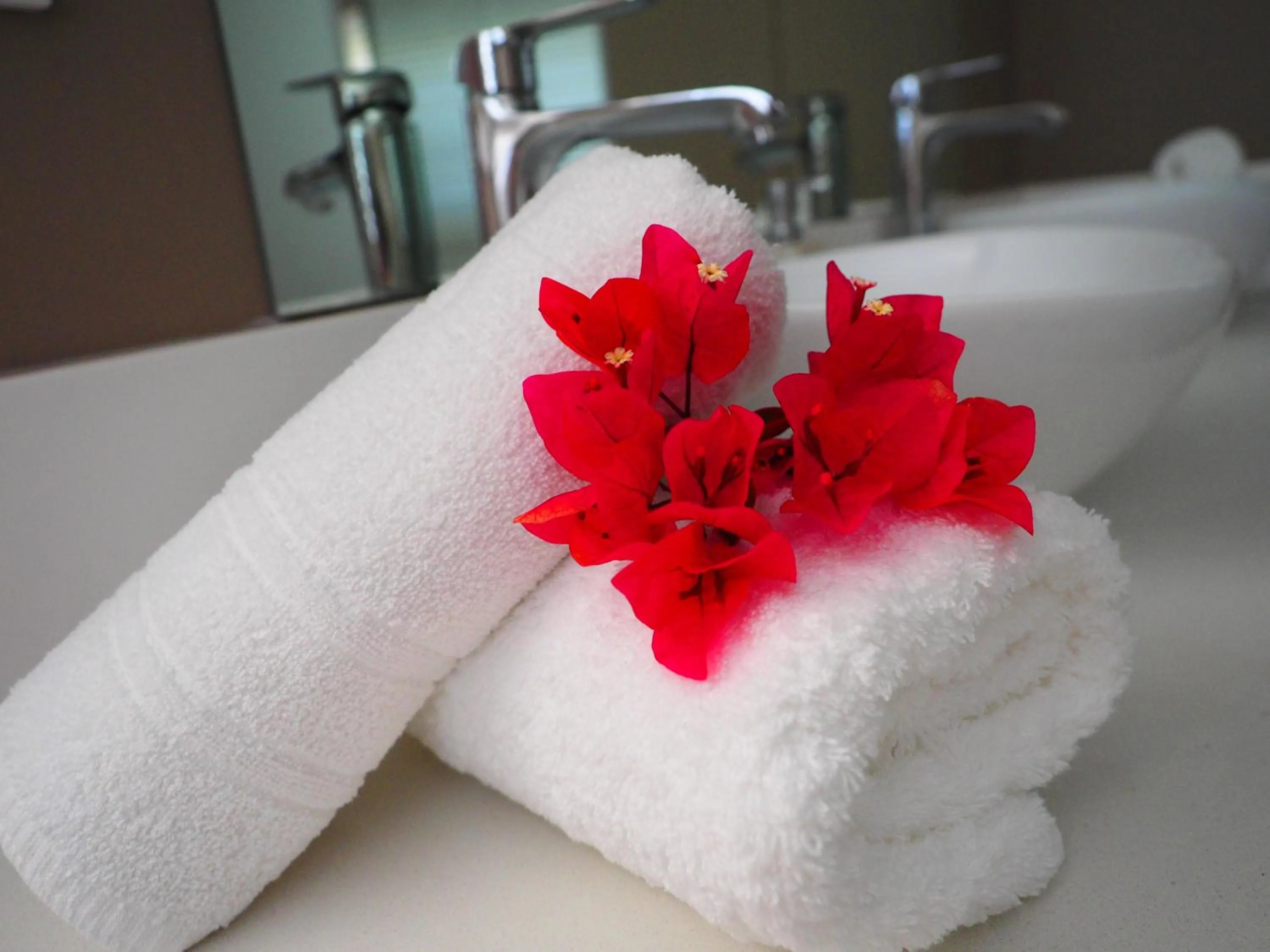 Deluxe Double or Twin Room with Ocean View - single occupancy in AT THE SEA Boutique Guesthouse