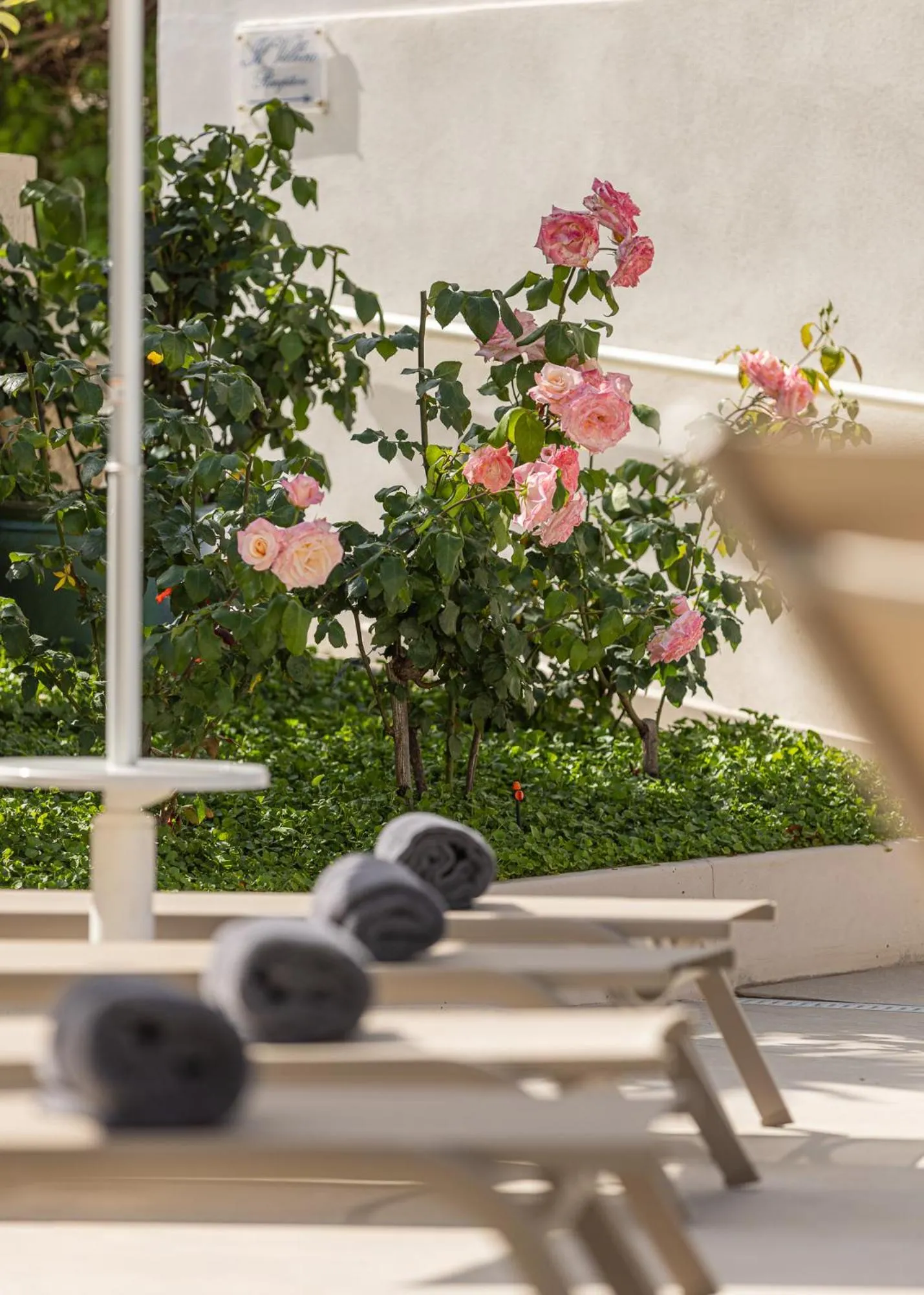 sunbed in Hotel Villa Elisa & Spa