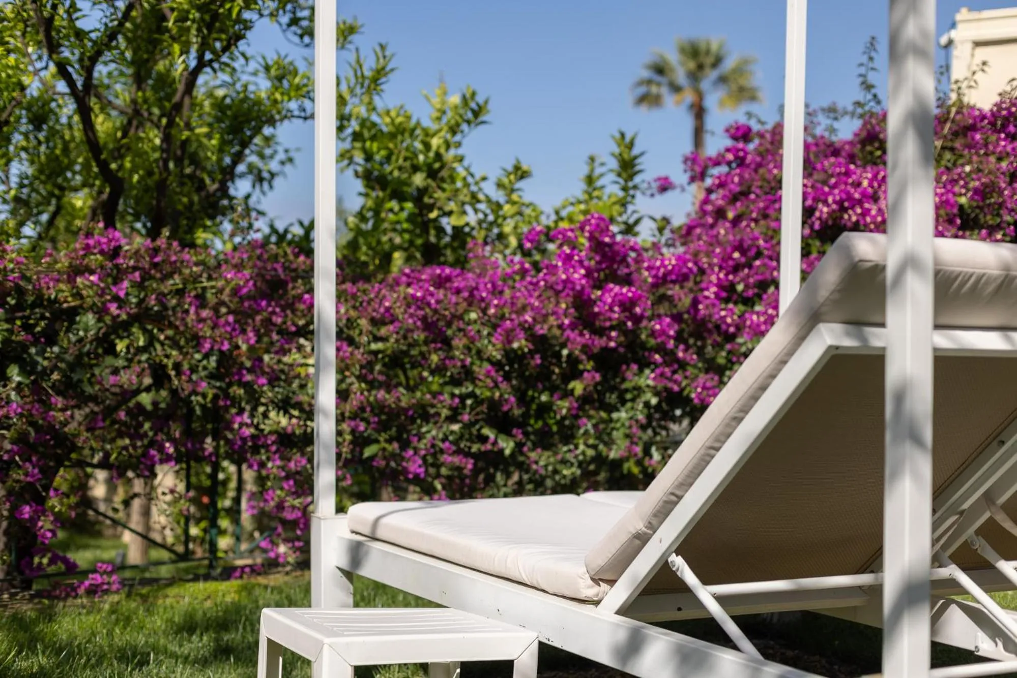 Garden in Hotel Villa Elisa & Spa