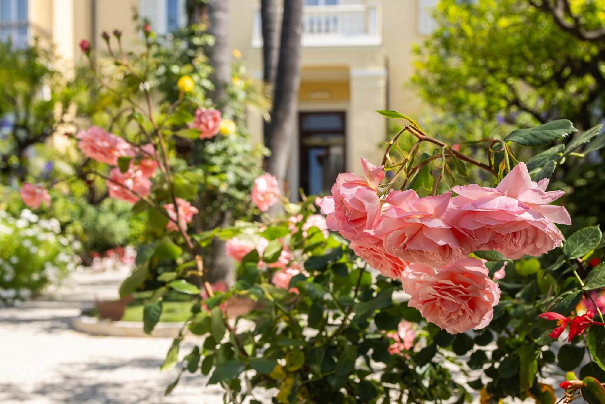 Facade/entrance in Hotel Villa Elisa & Spa