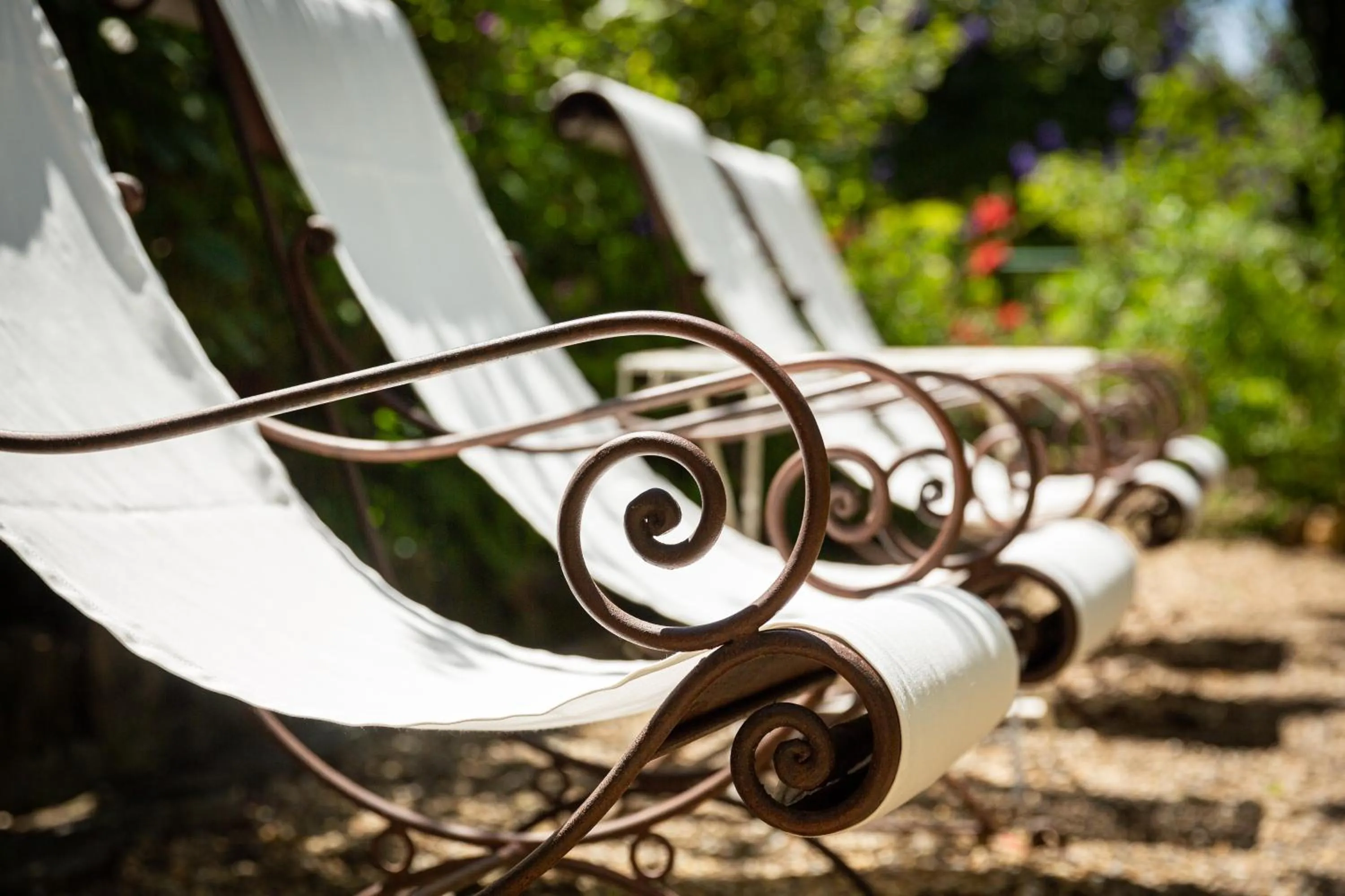 Garden in Hotel Villa Elisa & Spa