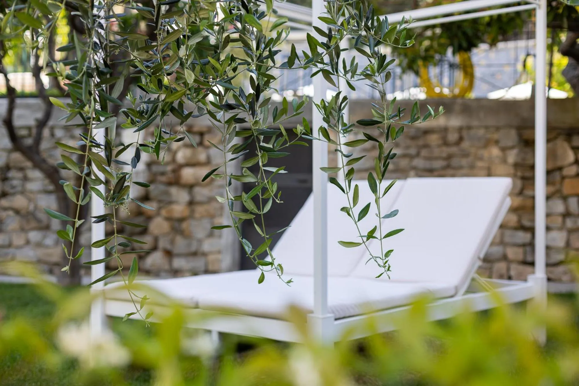 Garden in Hotel Villa Elisa & Spa