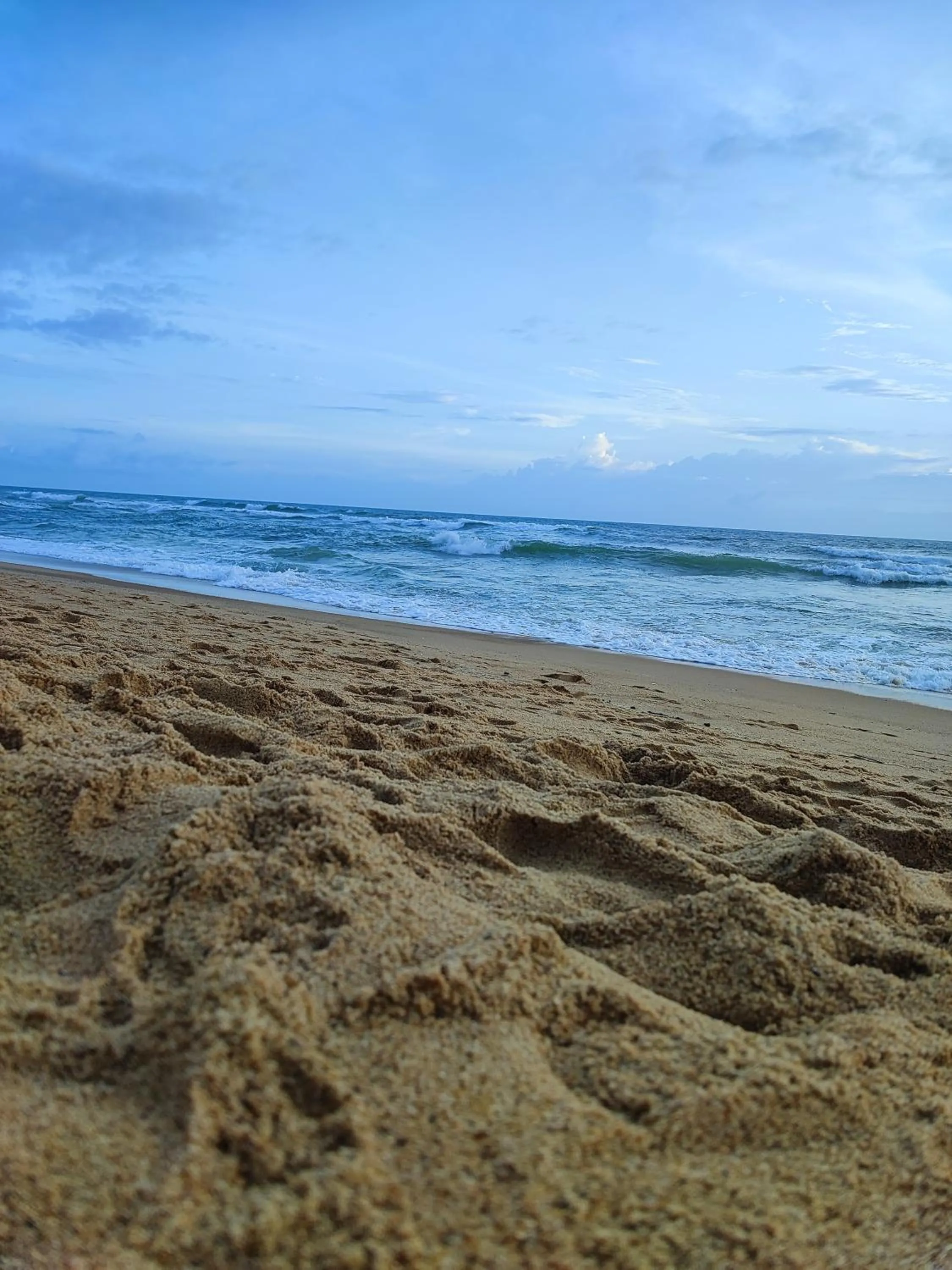 Natural landscape in Hotel Candolim Aloft
