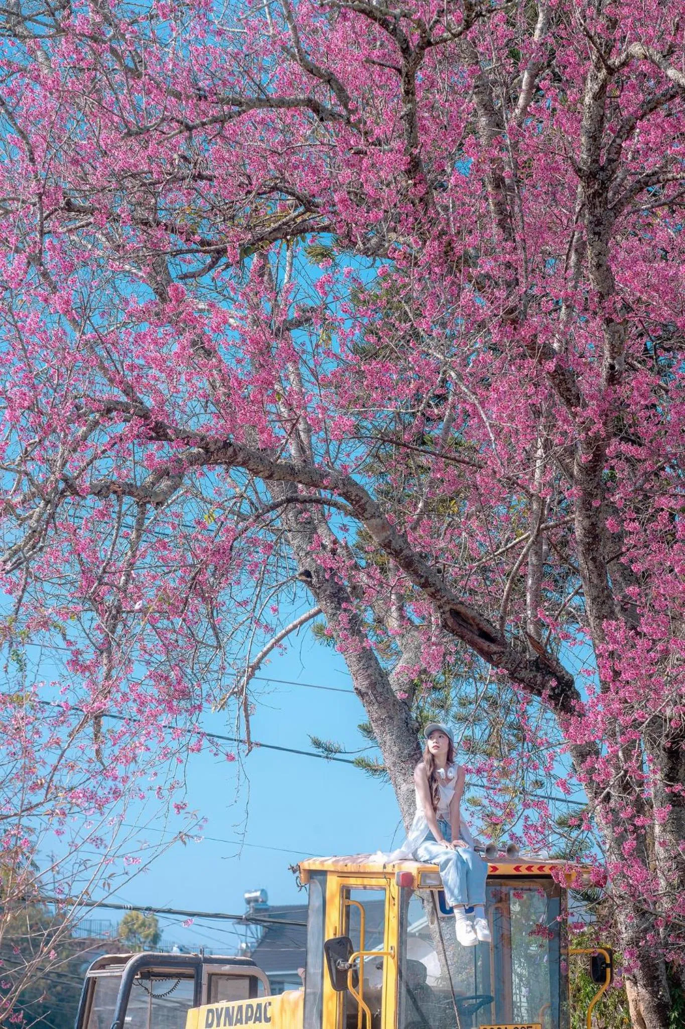 Bird's eye view in Moc Nhien Hostel Da Lat