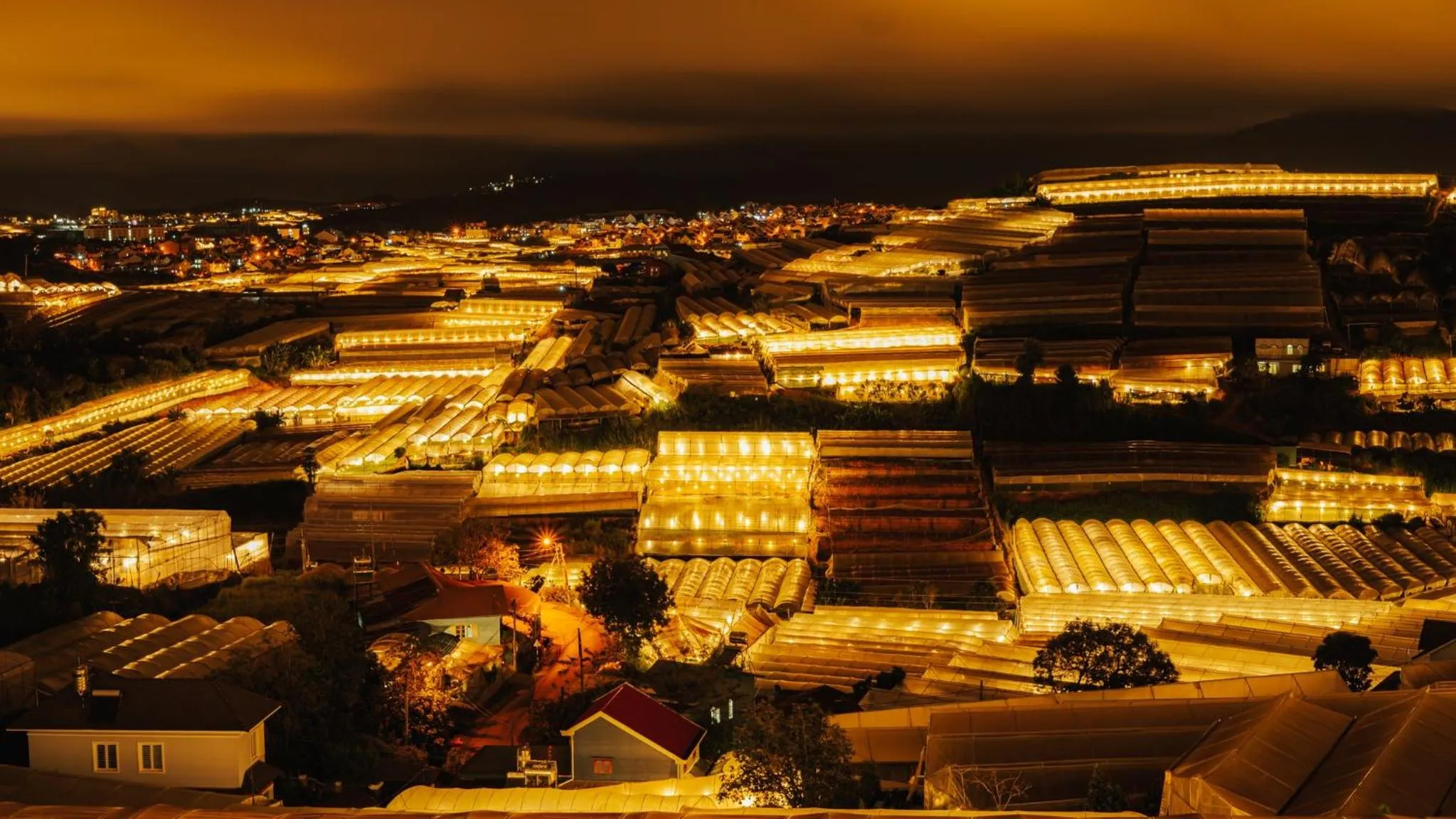 Night in Moc Nhien Hostel Da Lat
