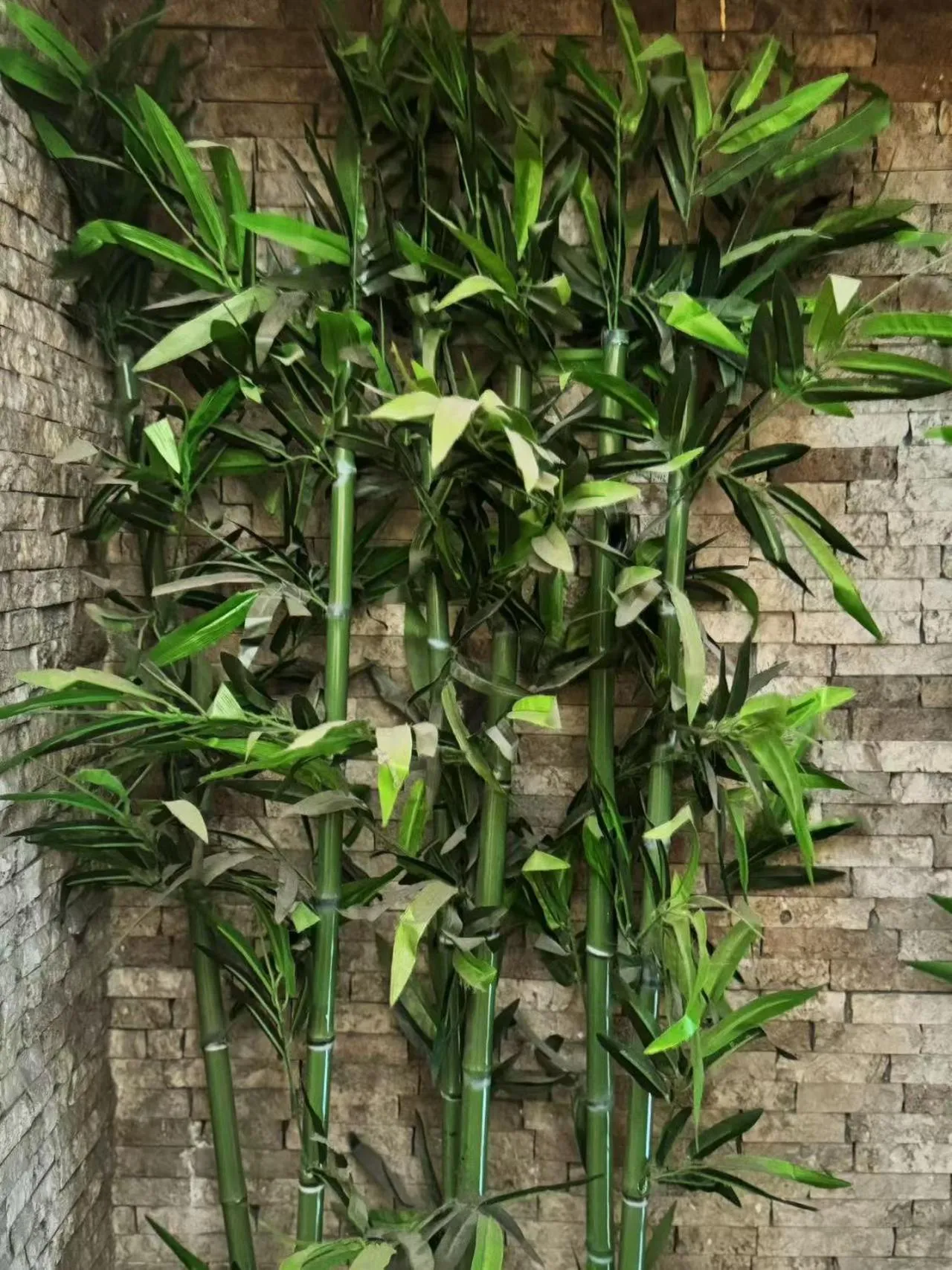 Garden in Hotel Valganna