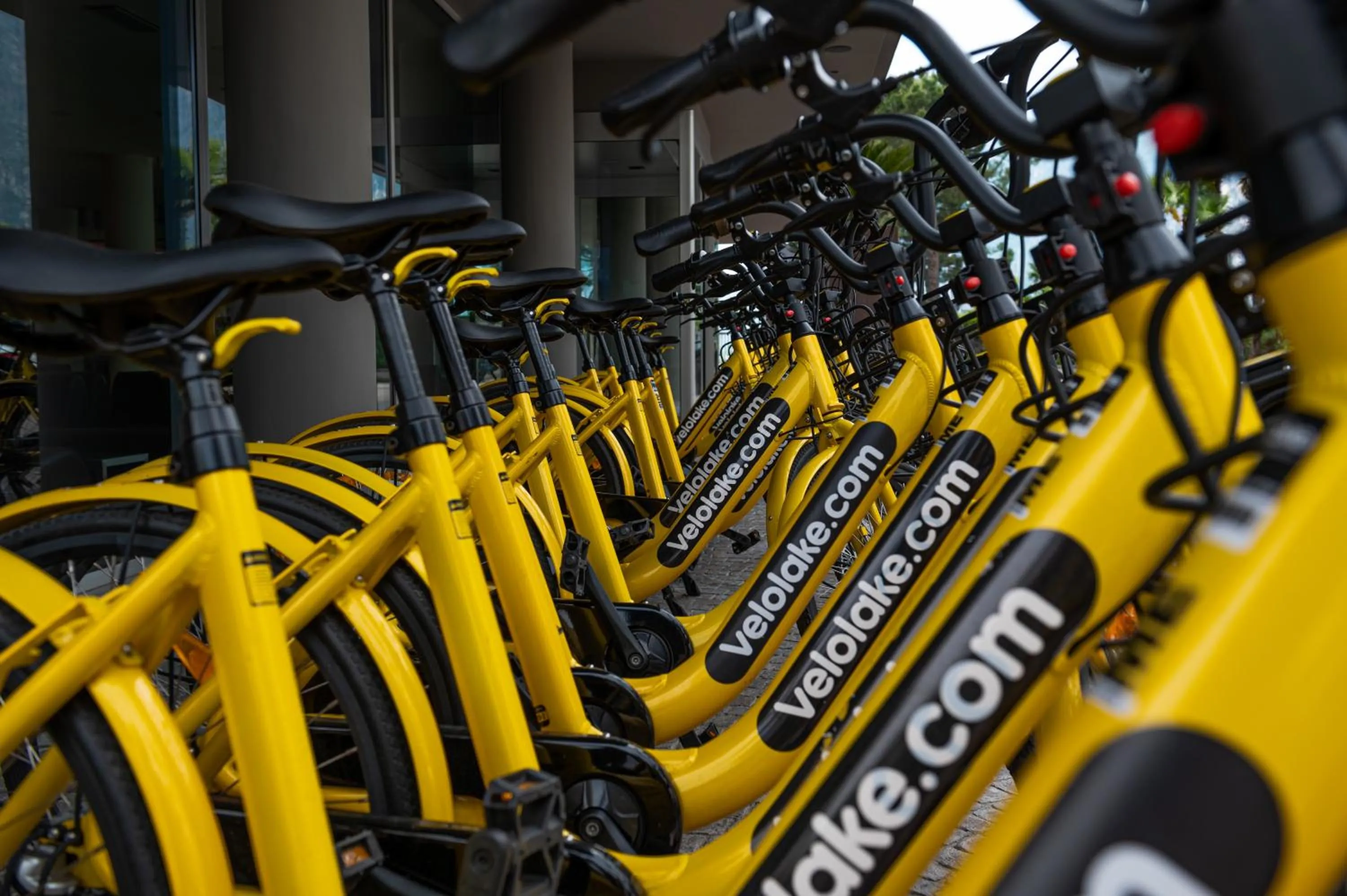 Cycling in Lake Front Hotel Mirage