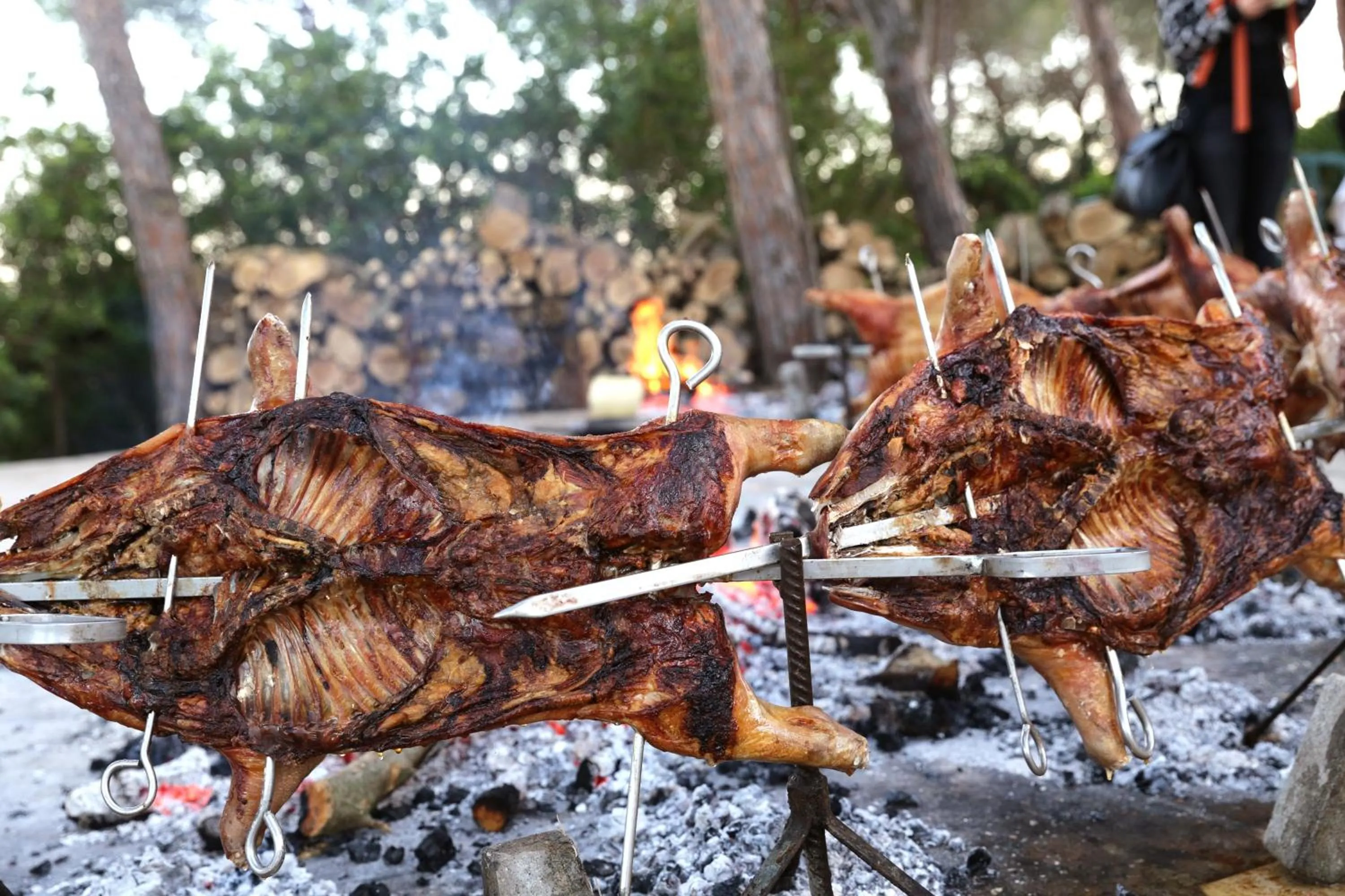 Food close-up in Hotel Punta Negra