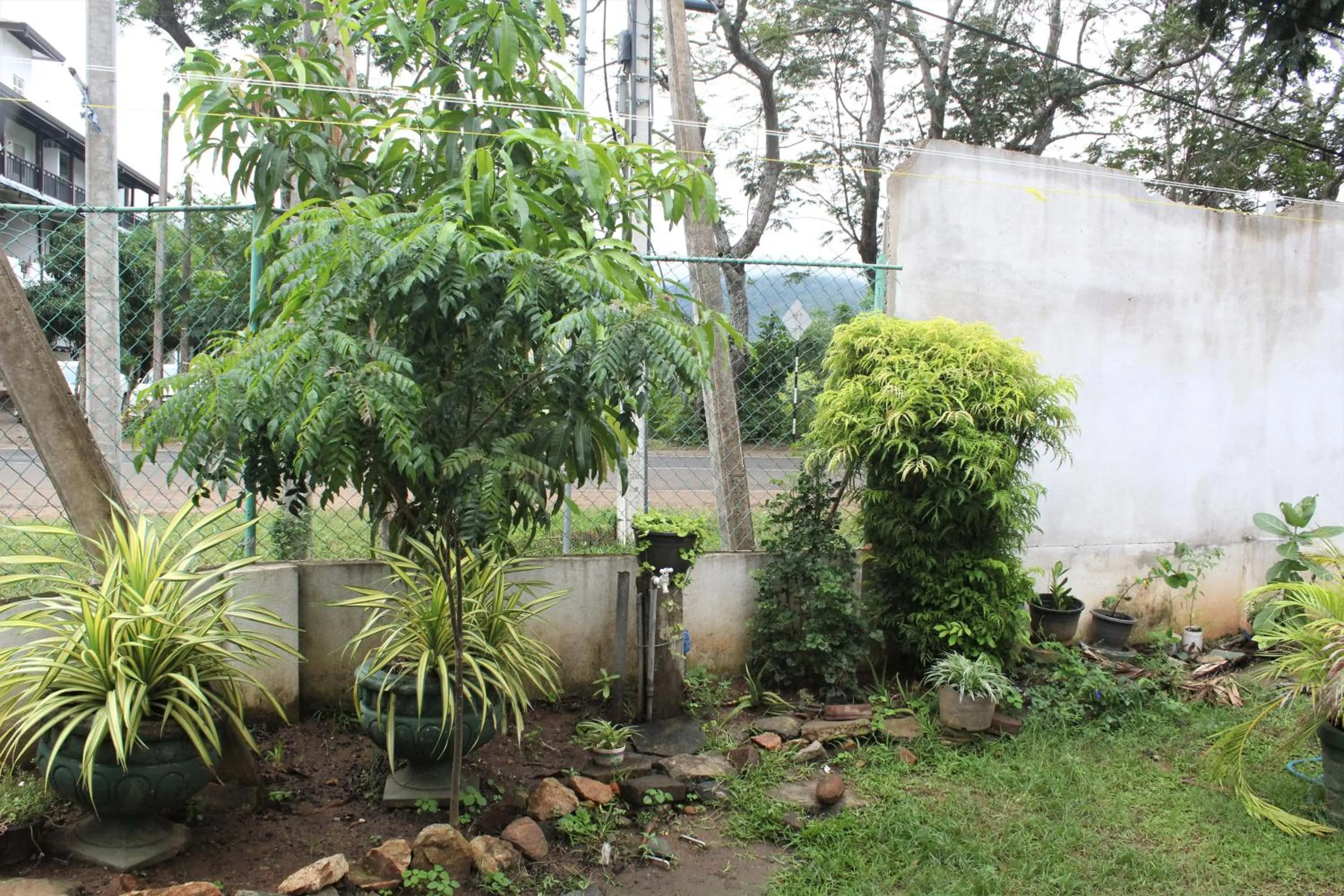 Garden in The Sisara