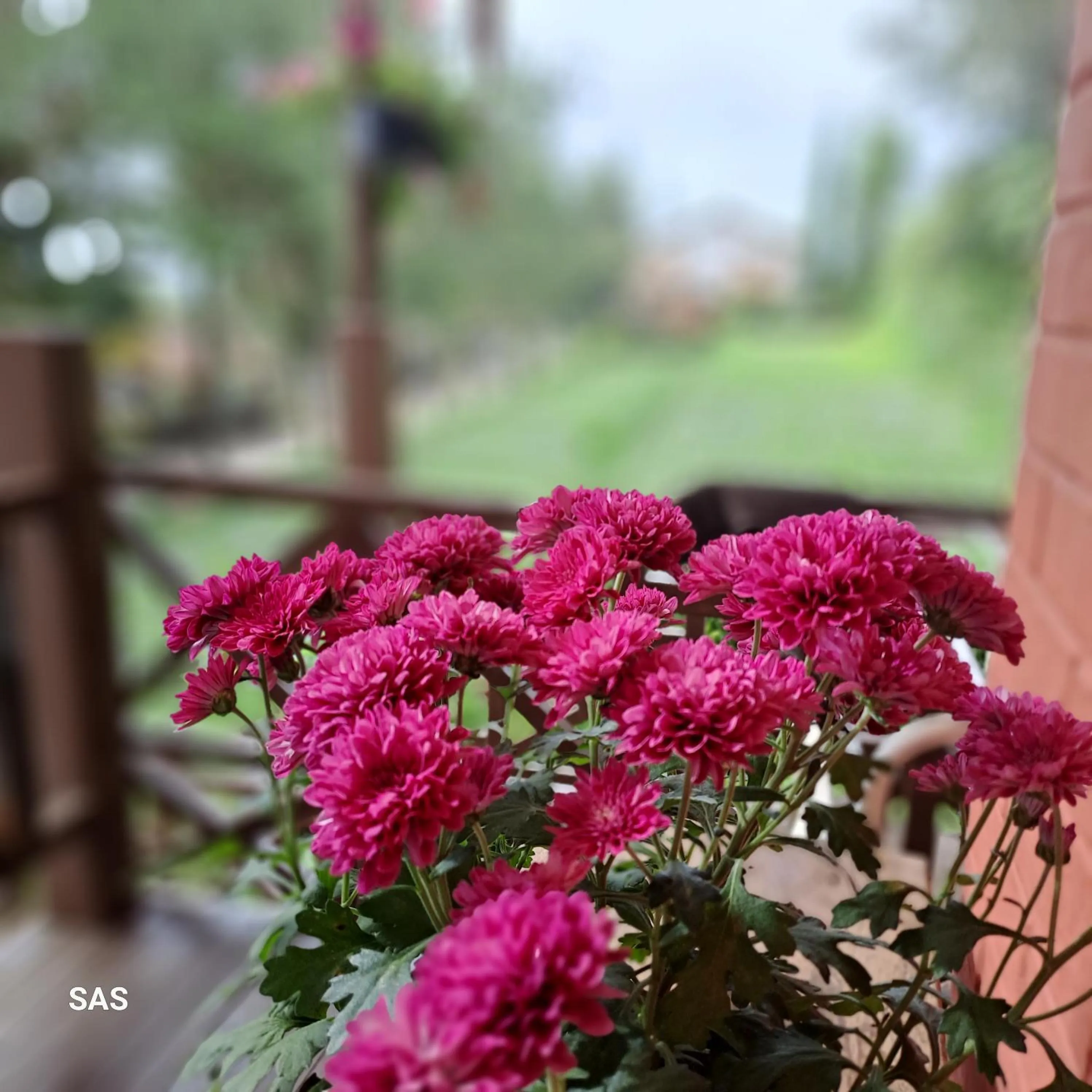 Day in Villa Elisabeth at Villa Istana Bunga