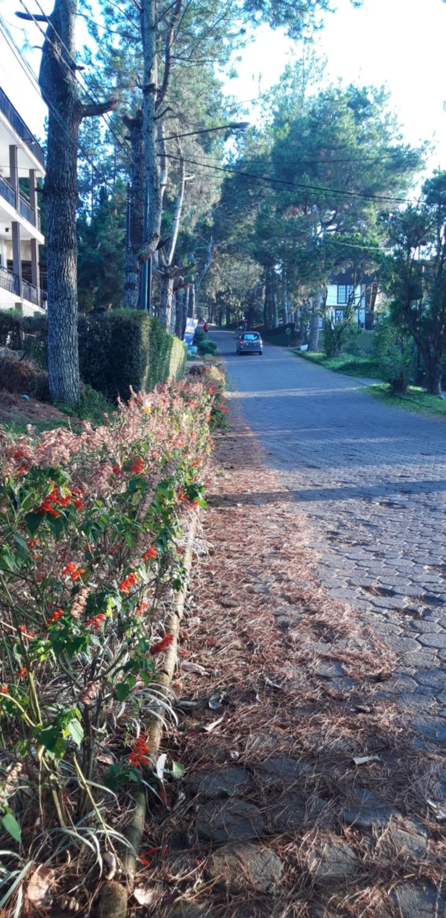 Street view in Villa Elisabeth at Villa Istana Bunga