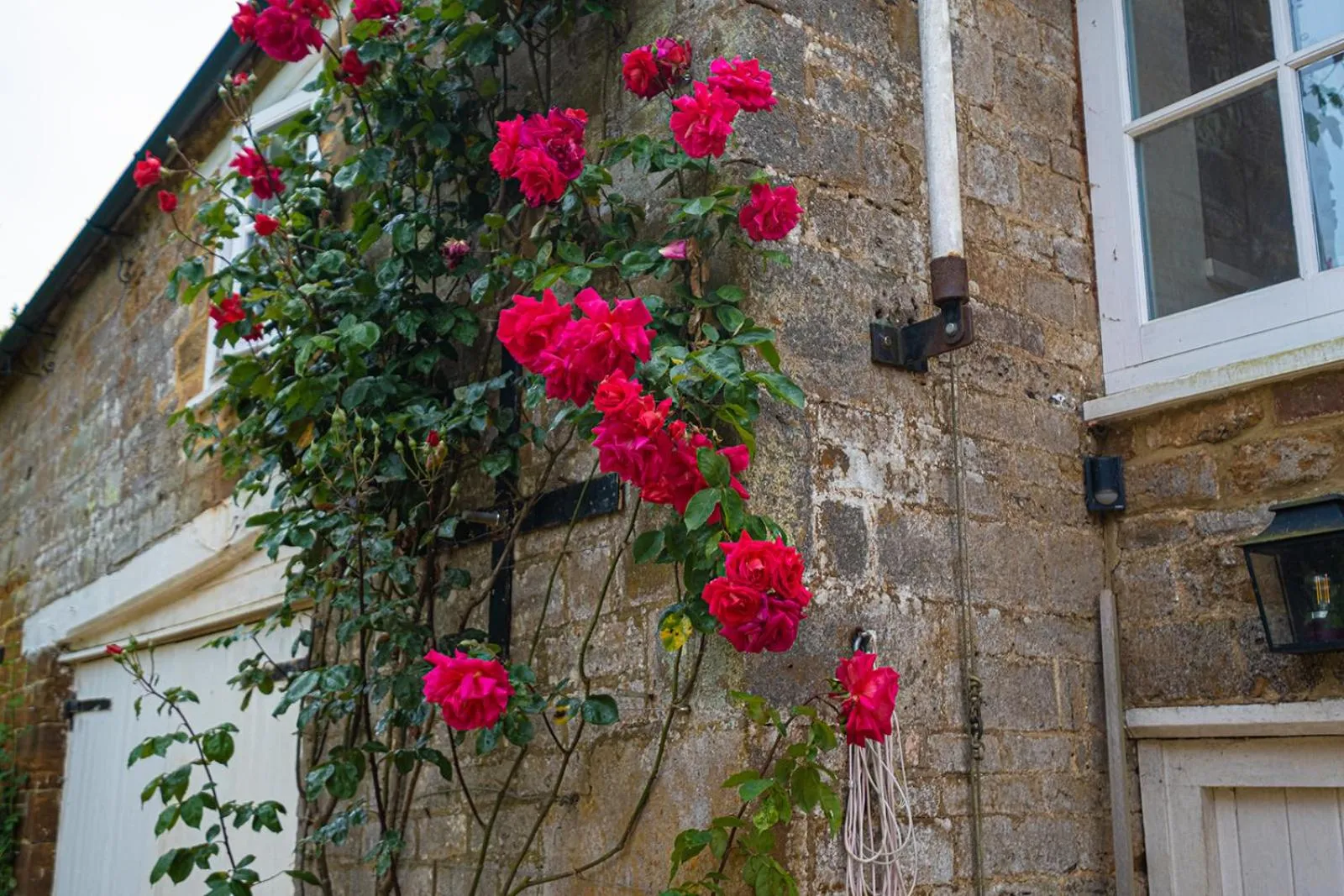 Garden in Deerpark Barn