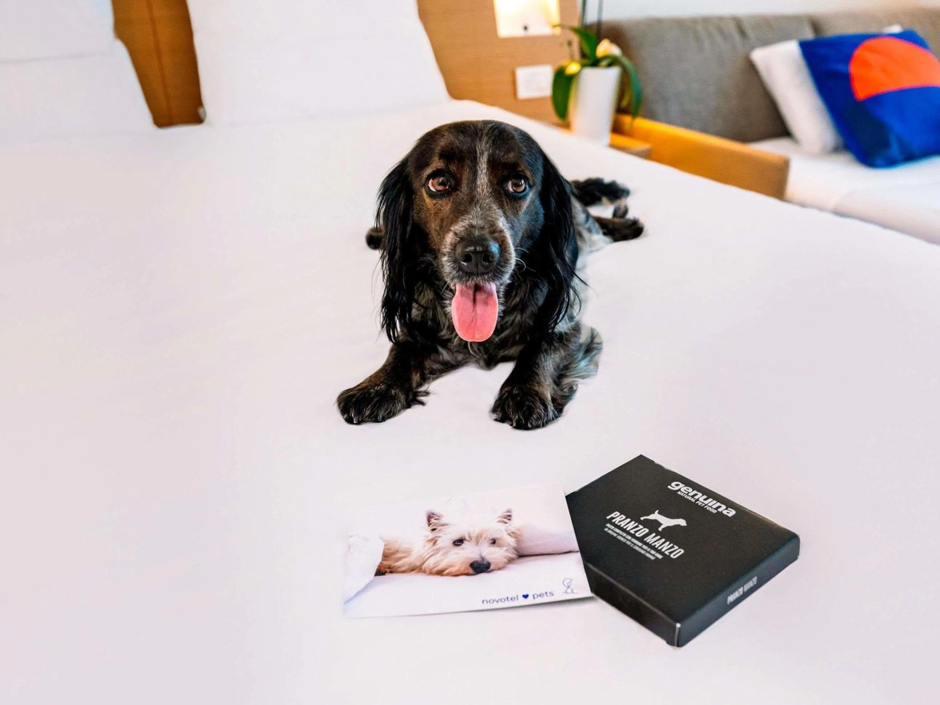 Other in Novotel Venezia Mestre Castellana