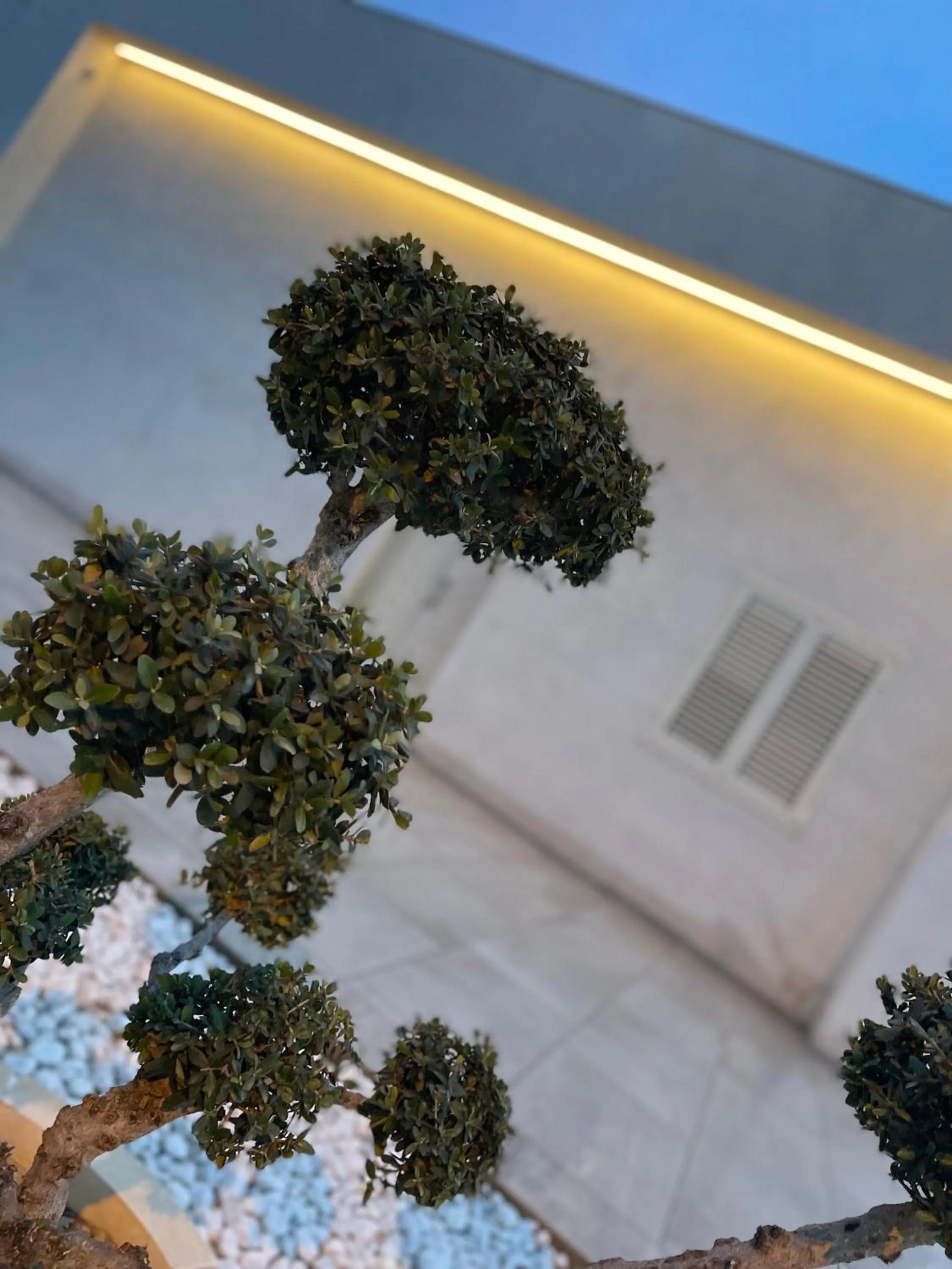 Garden in B&B Melissa