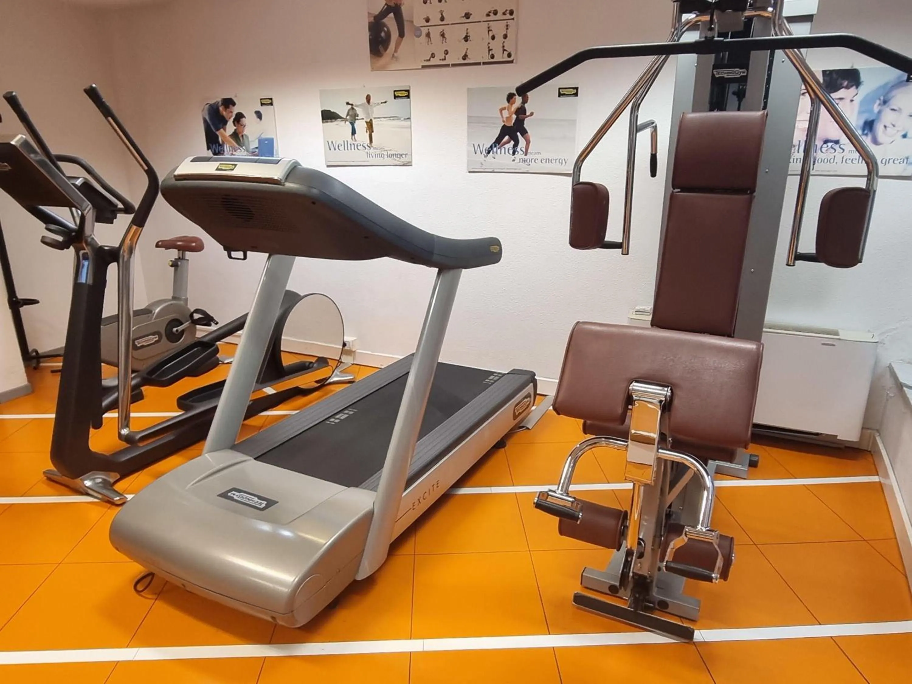 Fitness centre/facilities in Novotel Firenze Nord Aeroporto