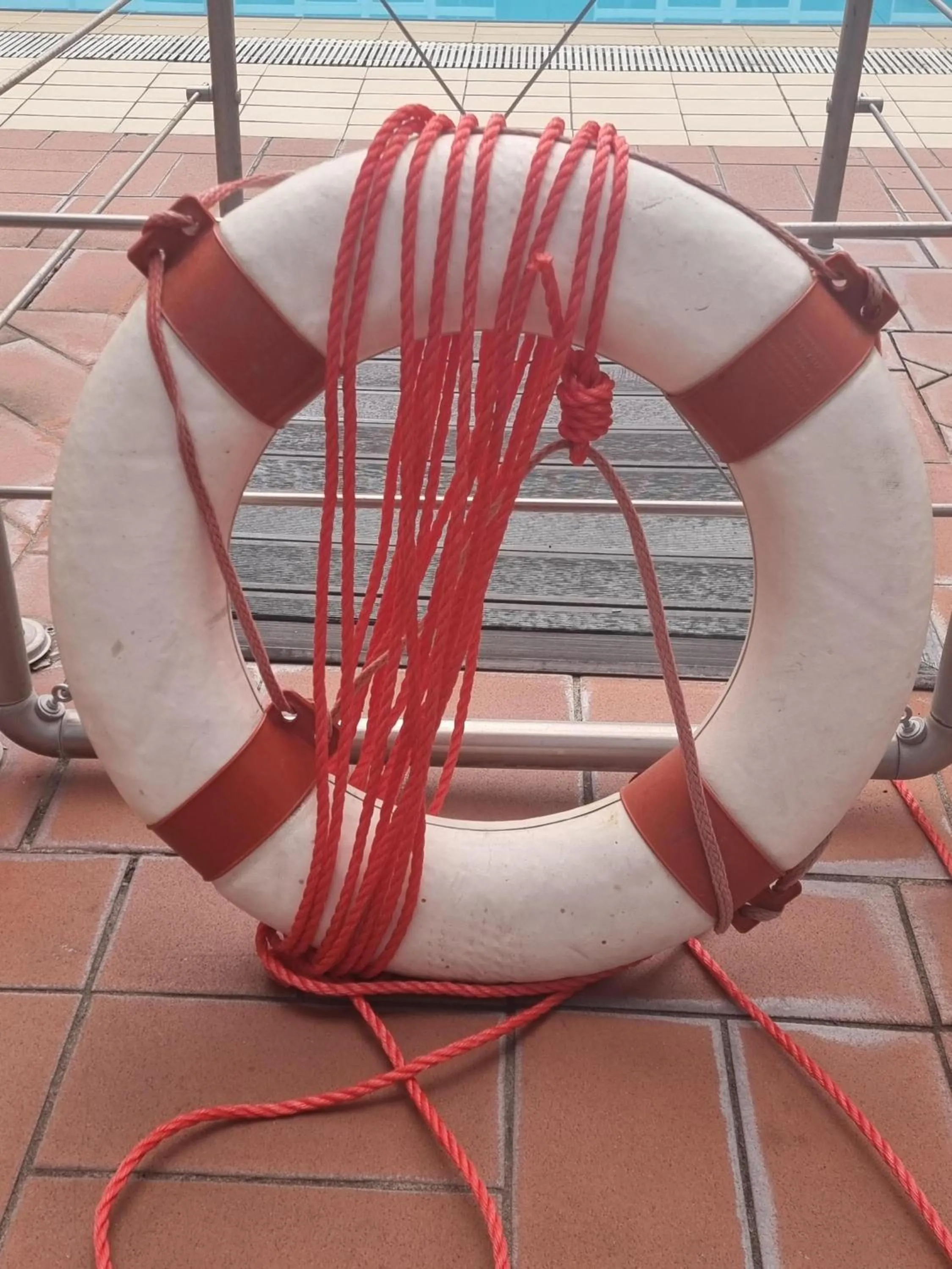 Pool view in Novotel Firenze Nord Aeroporto