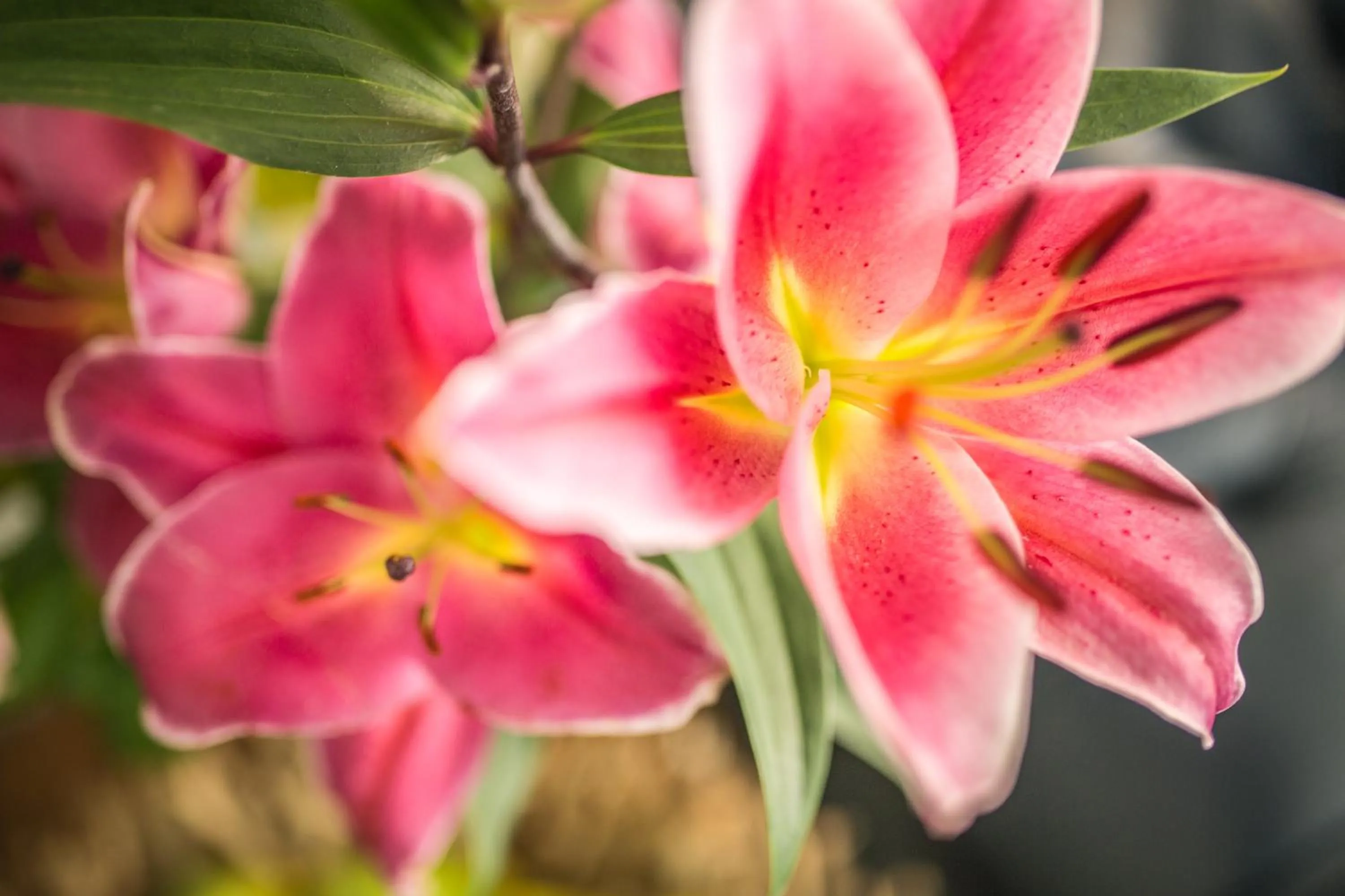 Decorative detail in Park Hotel