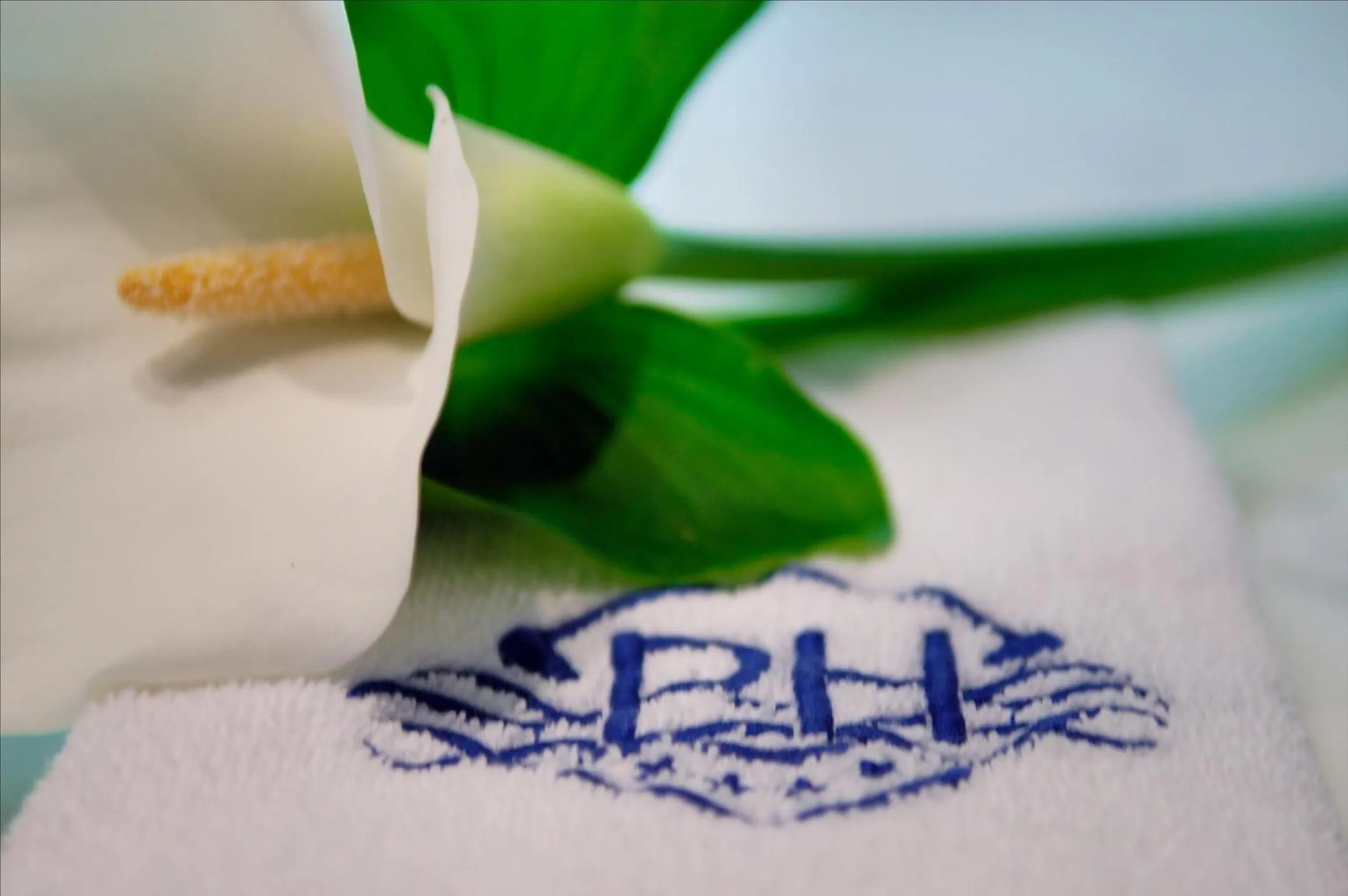 Decorative detail in Park Hotel