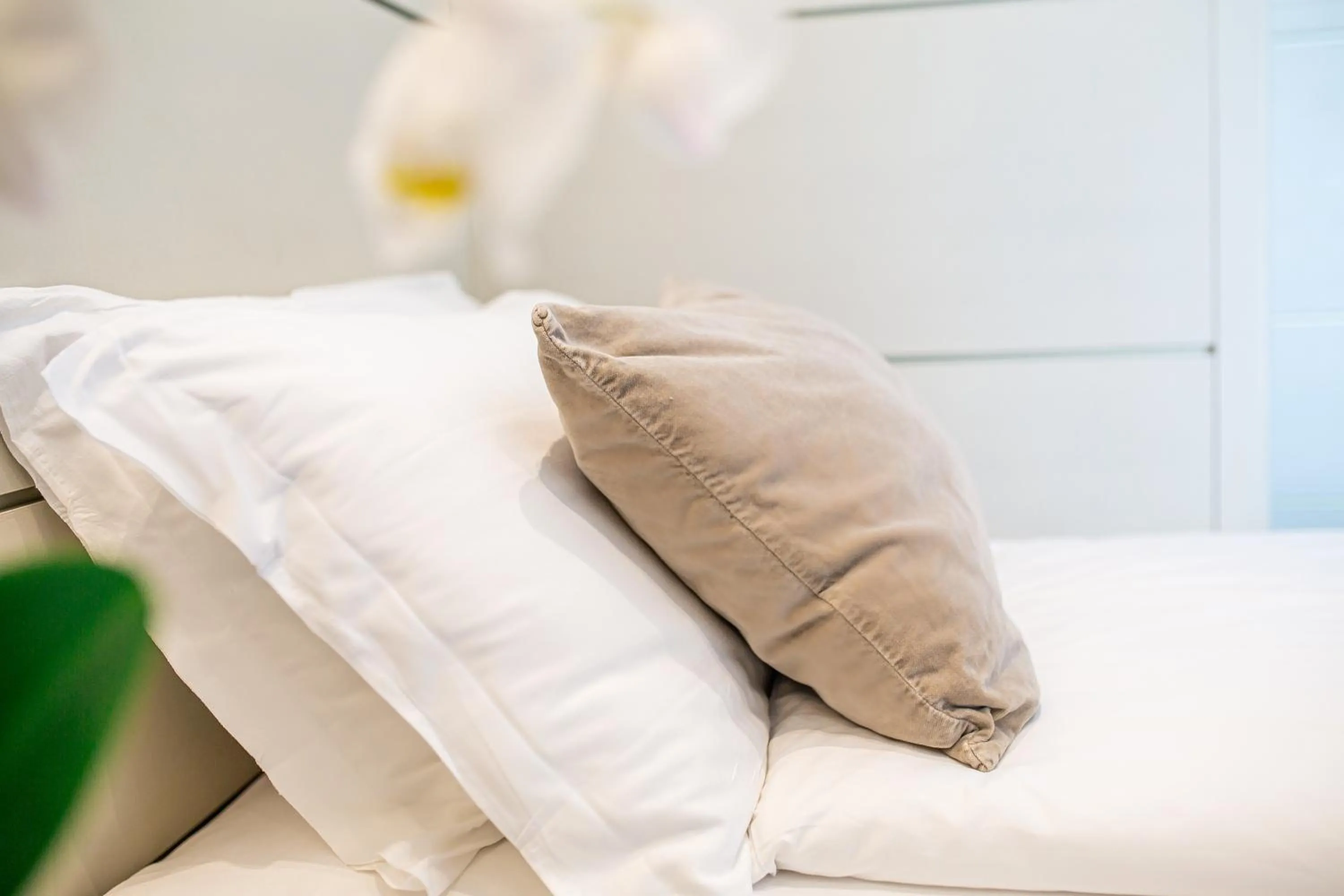 Property building, Bed in Park Hotel