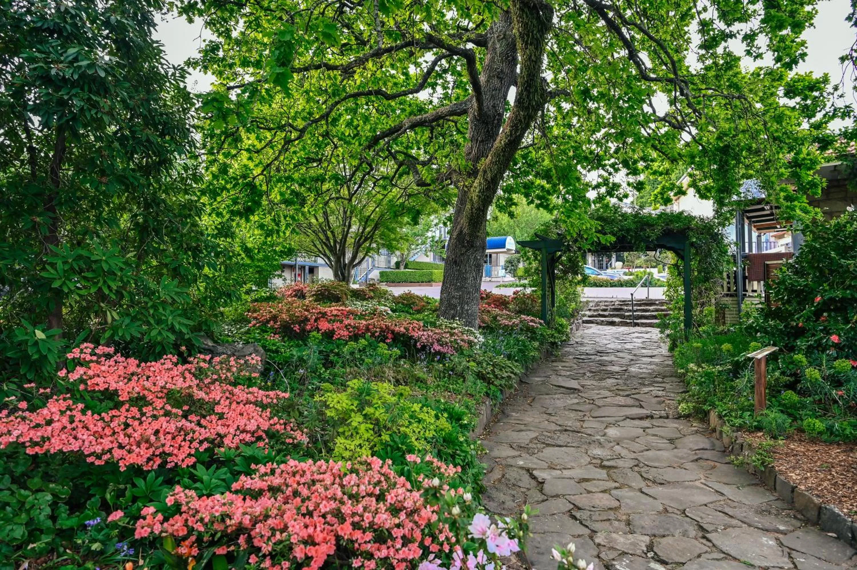 Garden in Leura Gardens Resort