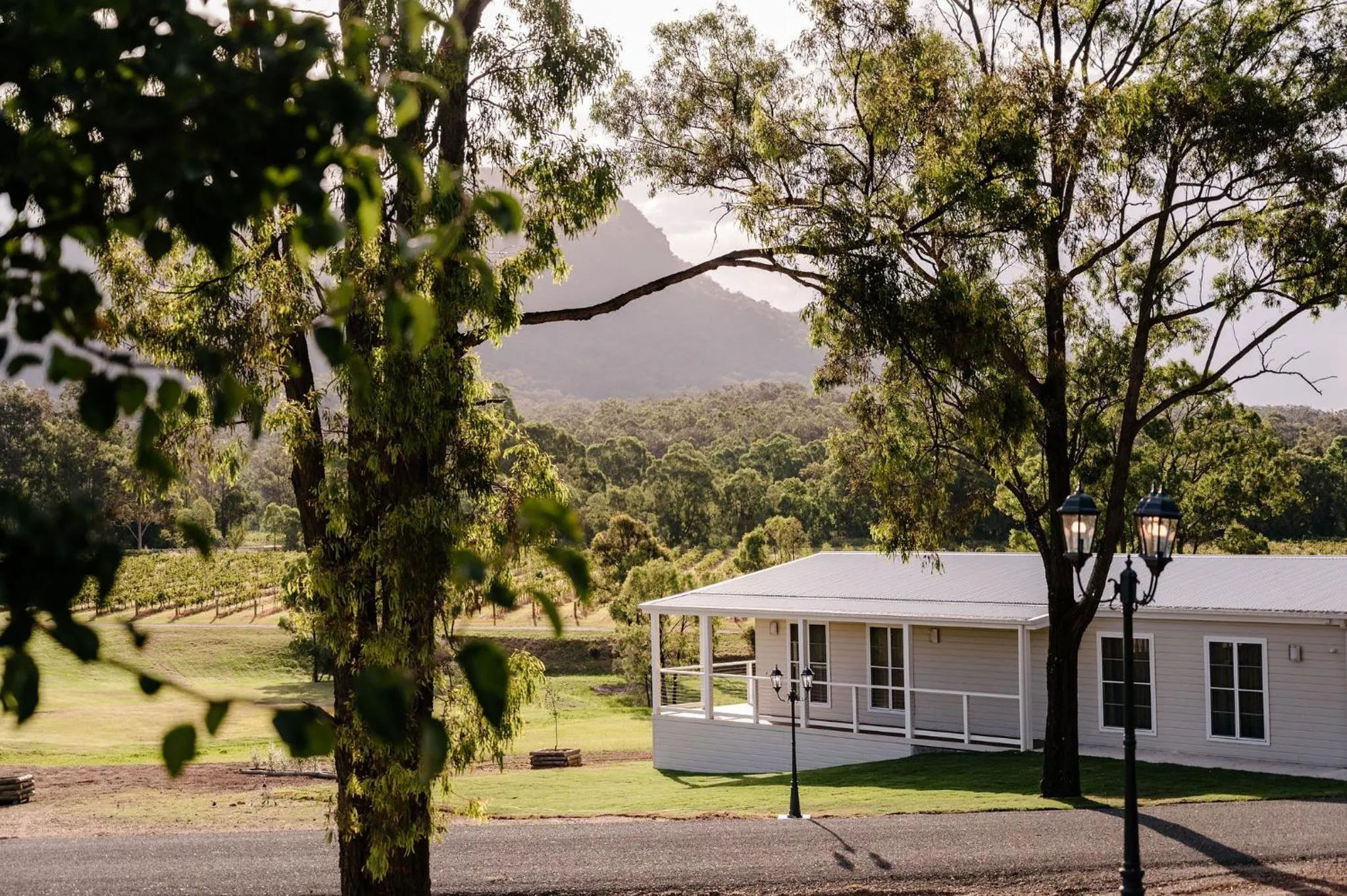 Garden in Leogate Estate Villas