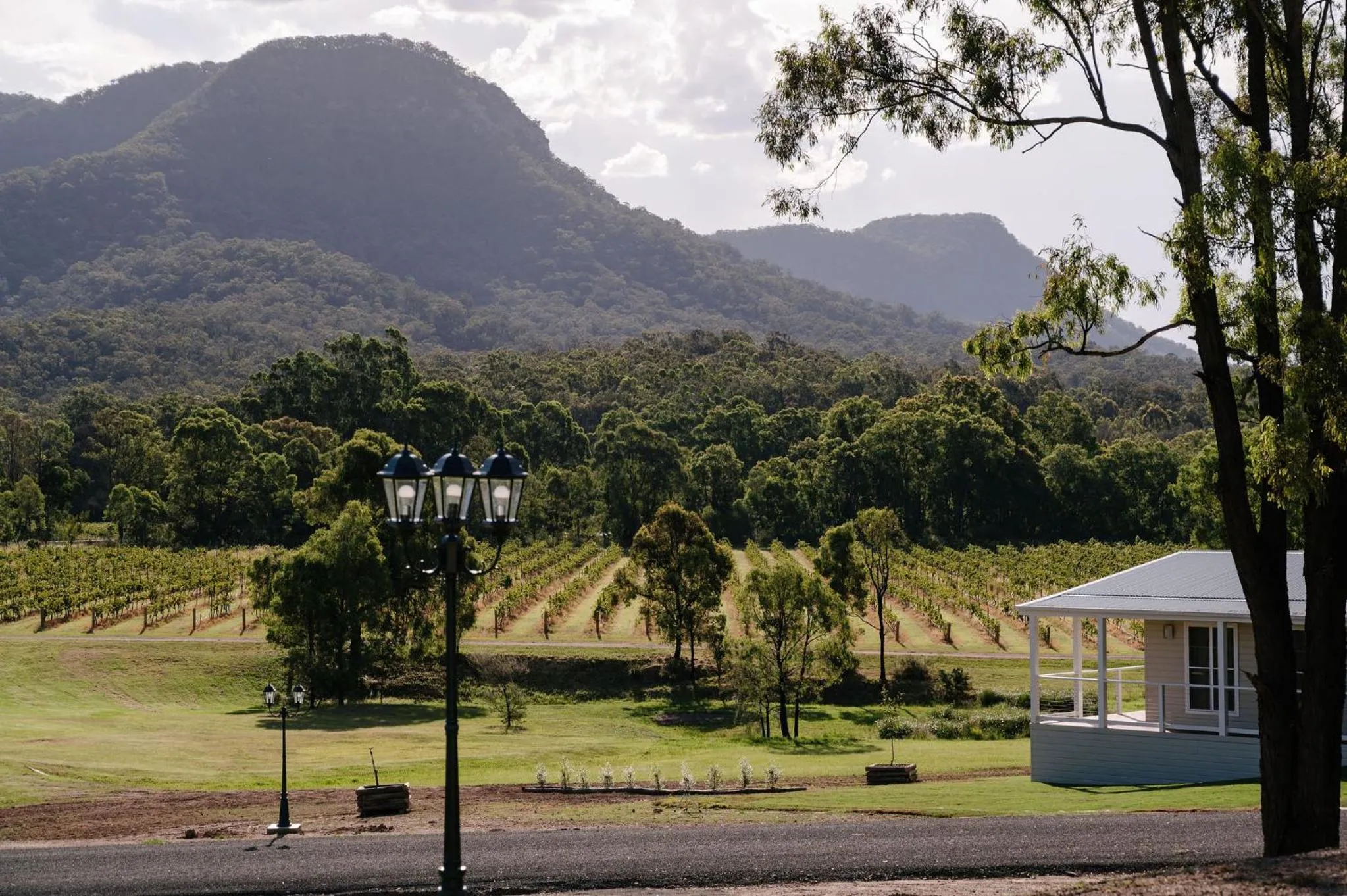 Natural landscape in Leogate Estate Villas