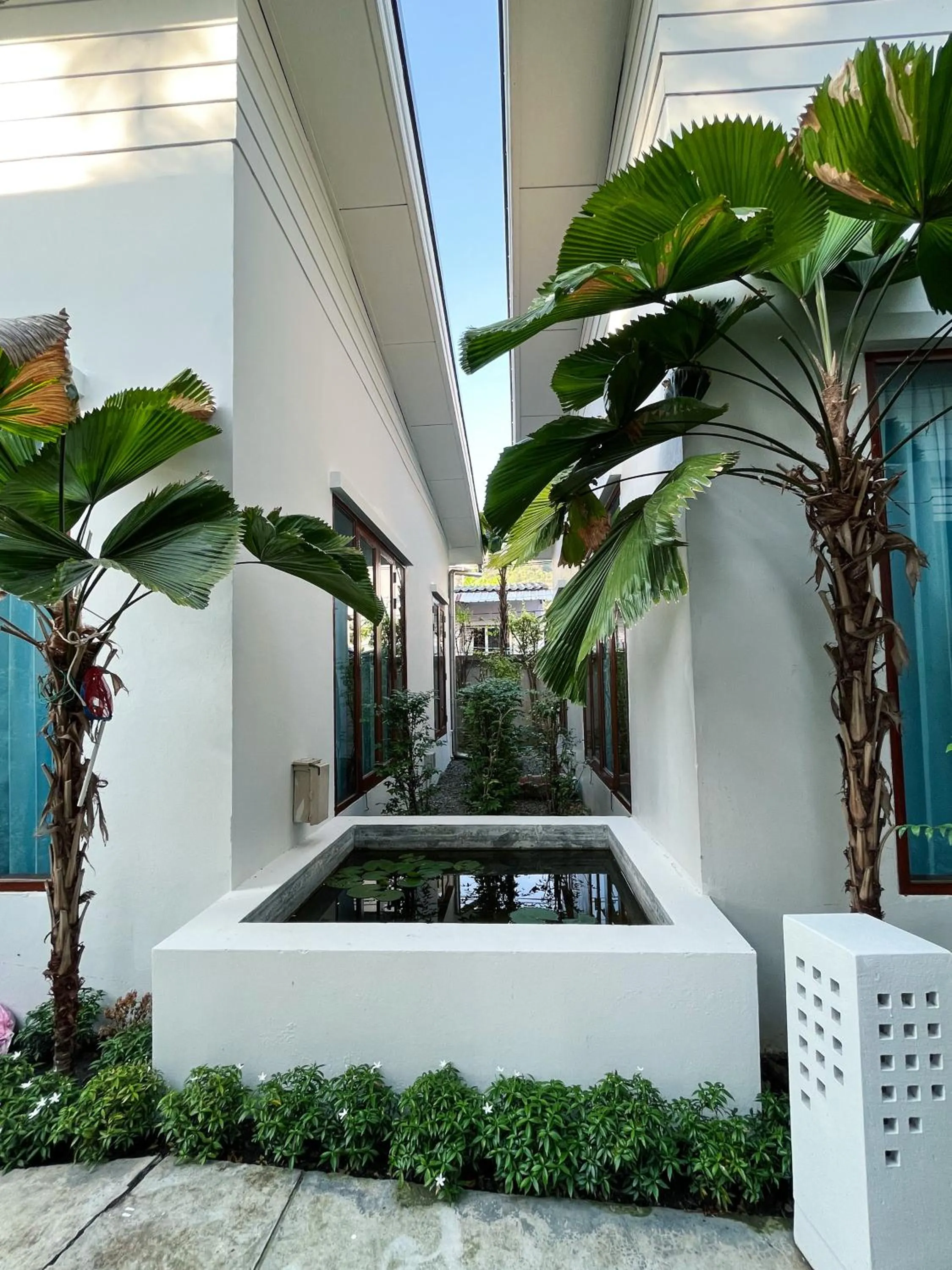 Garden in Purepamvillage