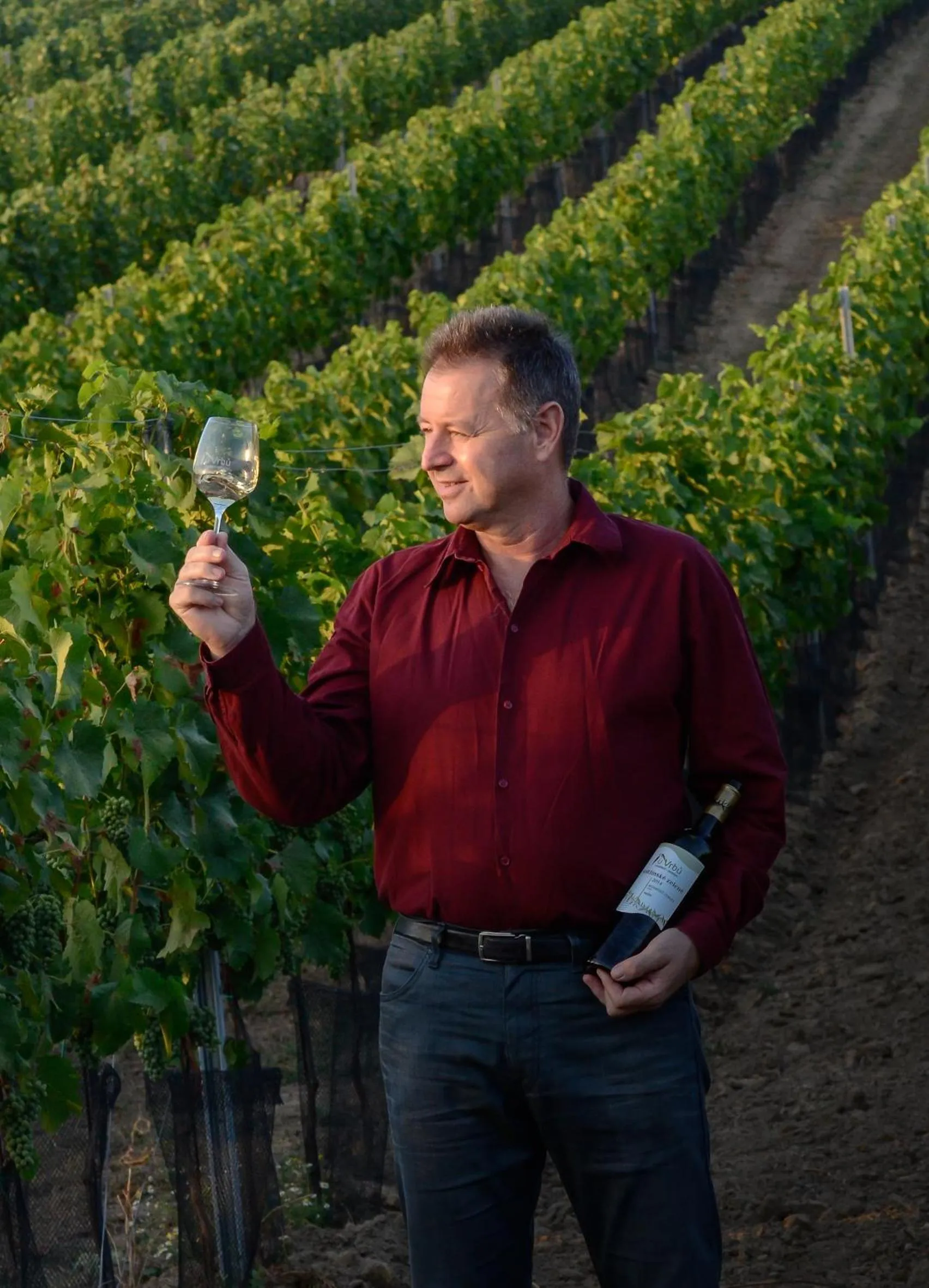 Staff in Penzion a vinařství U Vrbů