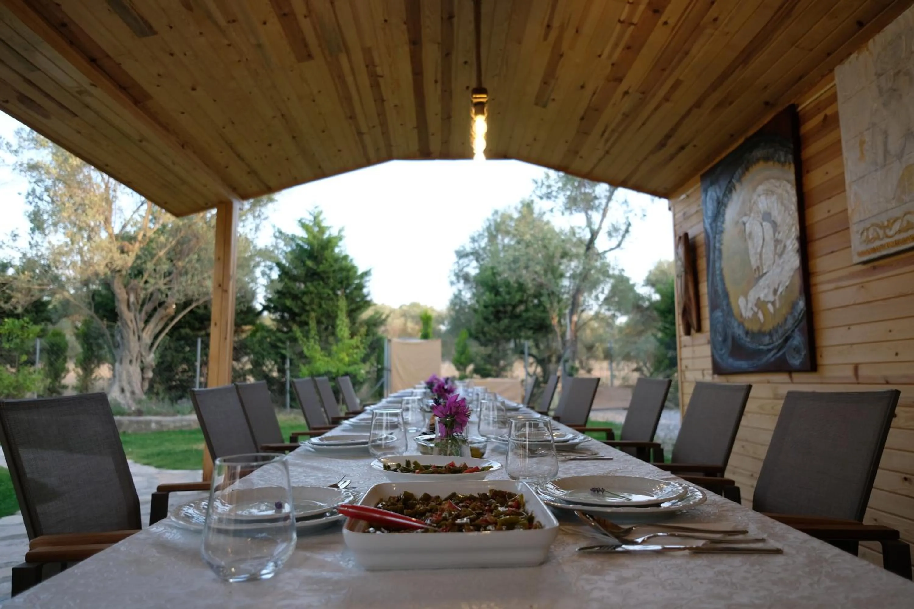 Restaurant/places to eat in Bir Dem Urla