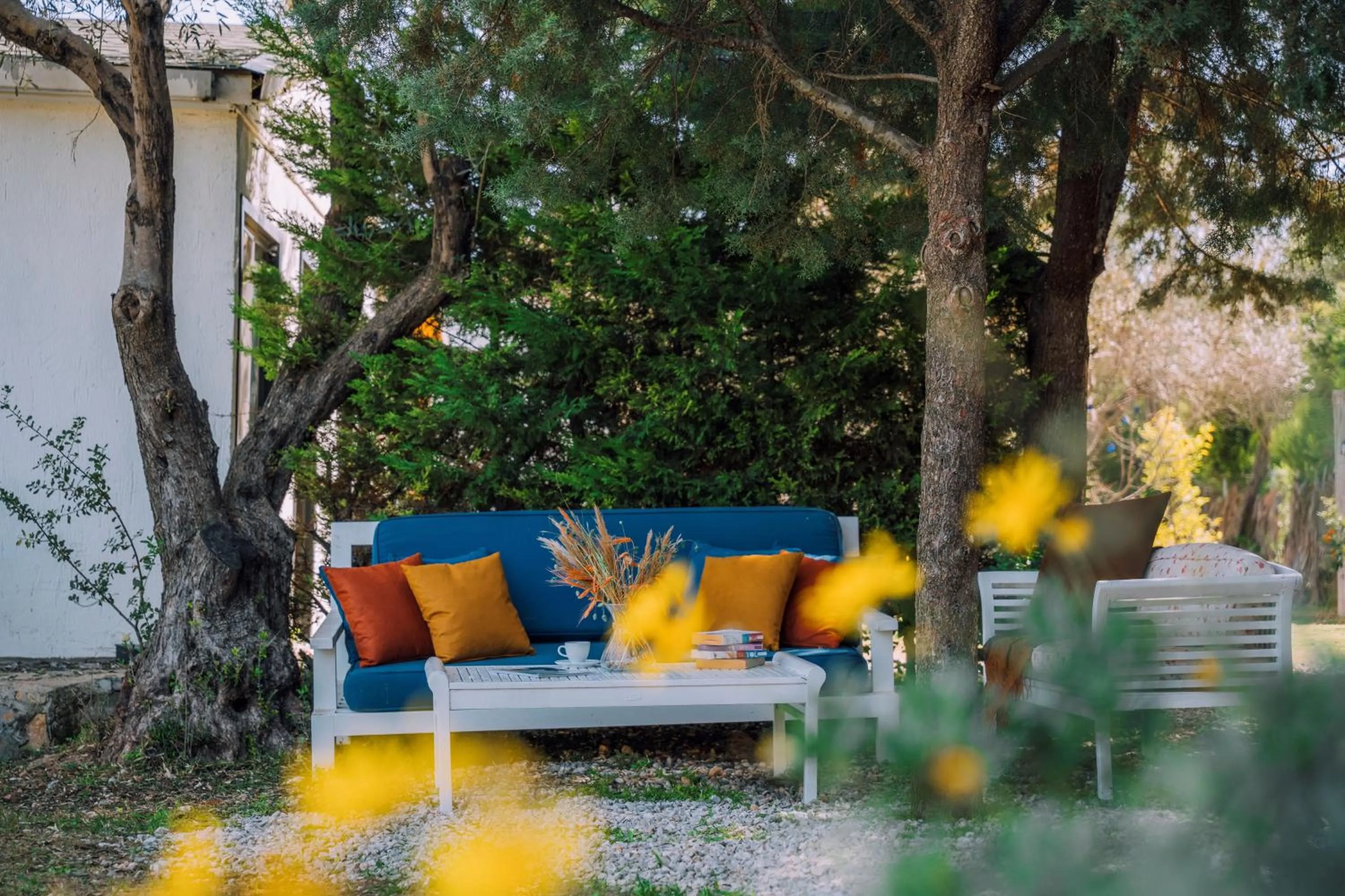 Garden in Bir Dem Urla