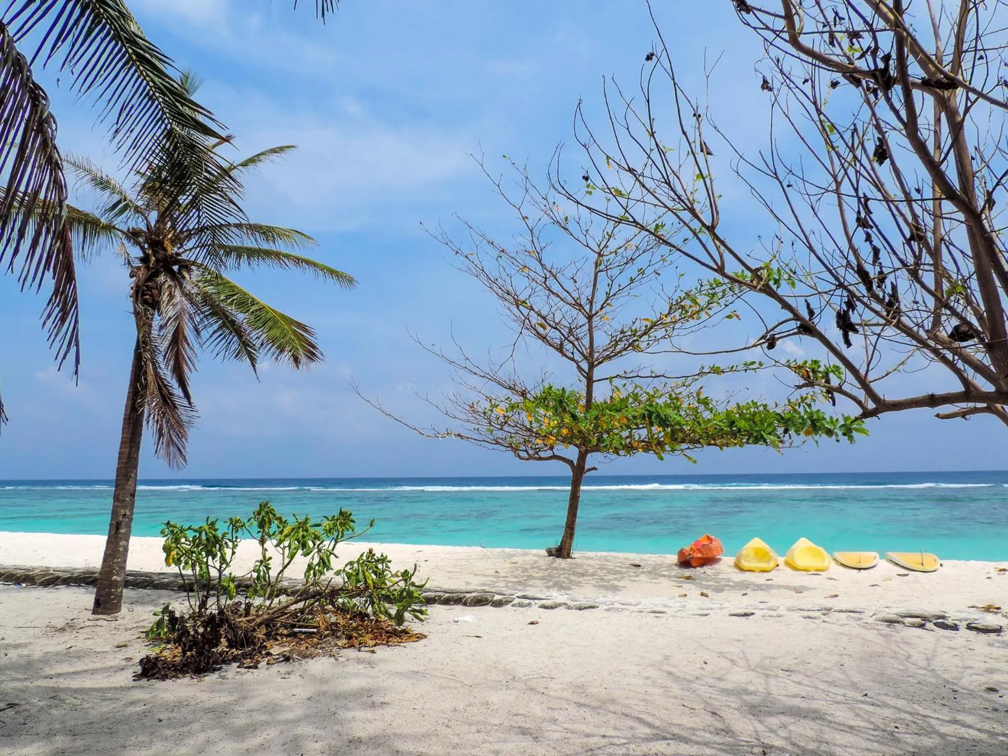 Snorkeling in Newtown Inn
