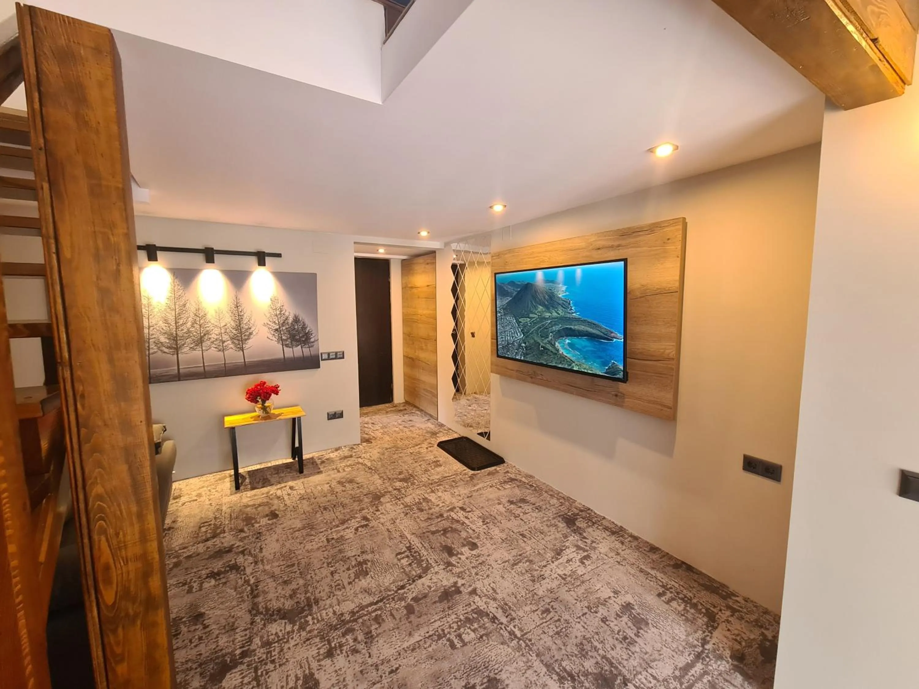 TV and multimedia in CASA FLORESCU