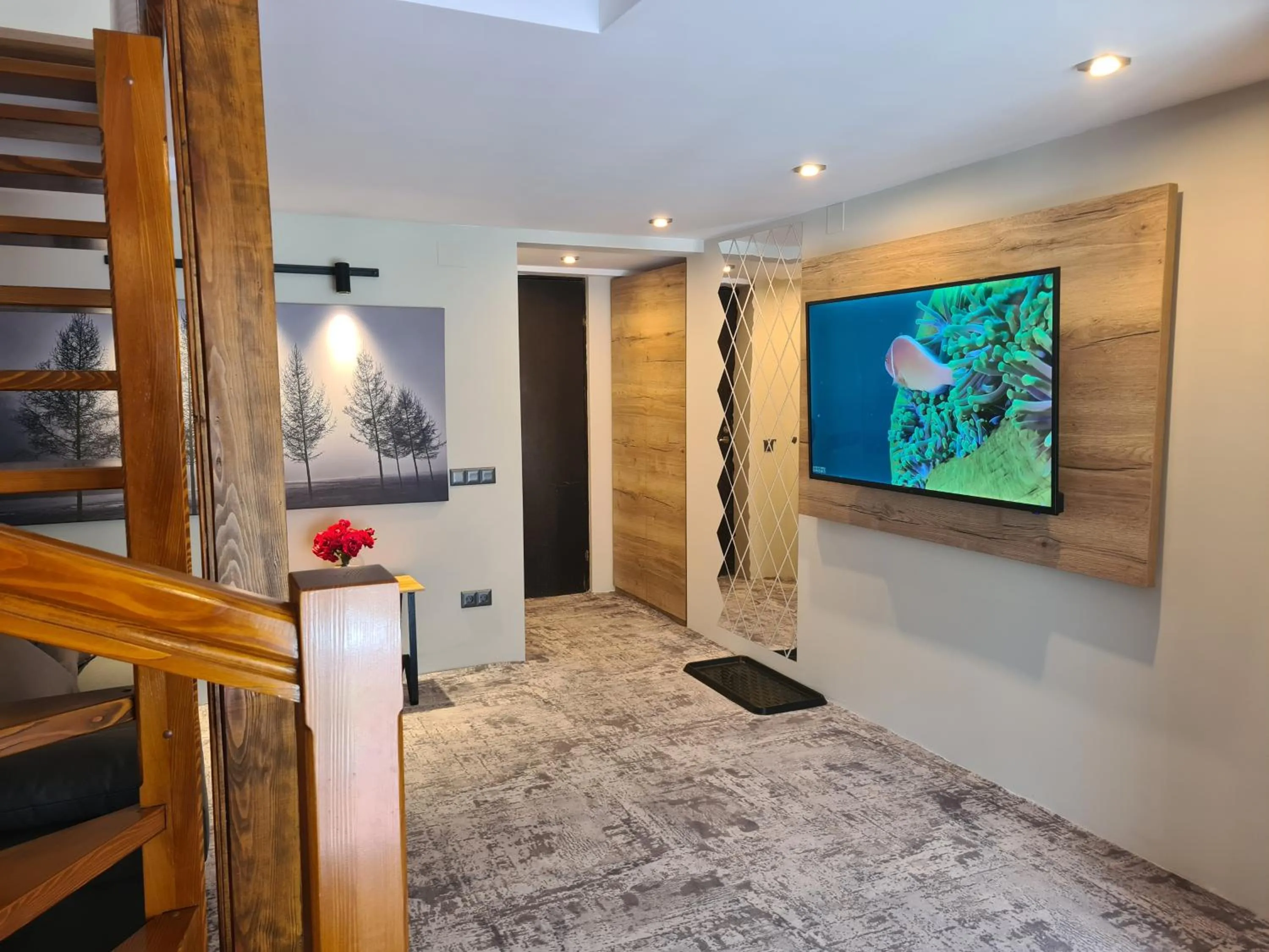 TV and multimedia in CASA FLORESCU