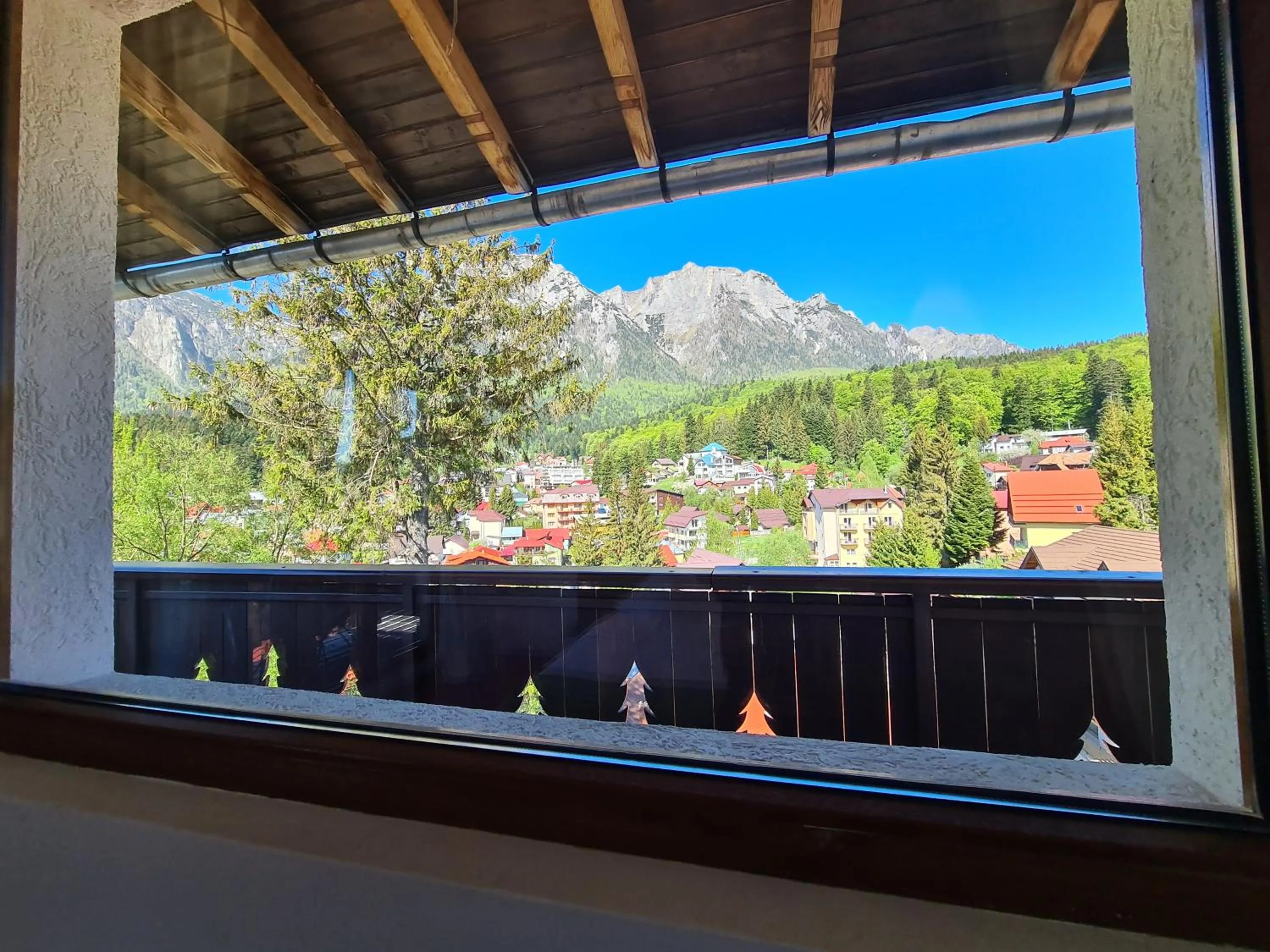 Balcony/Terrace in CASA FLORESCU