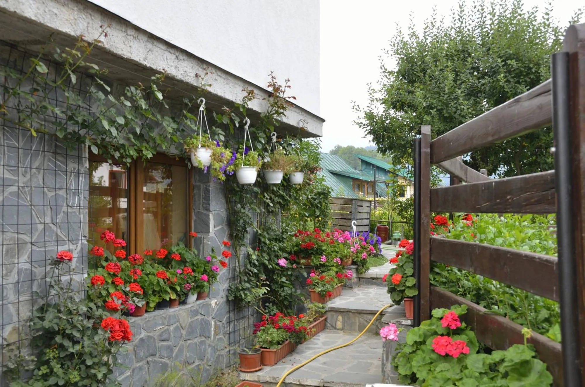 Garden in CASA FLORESCU