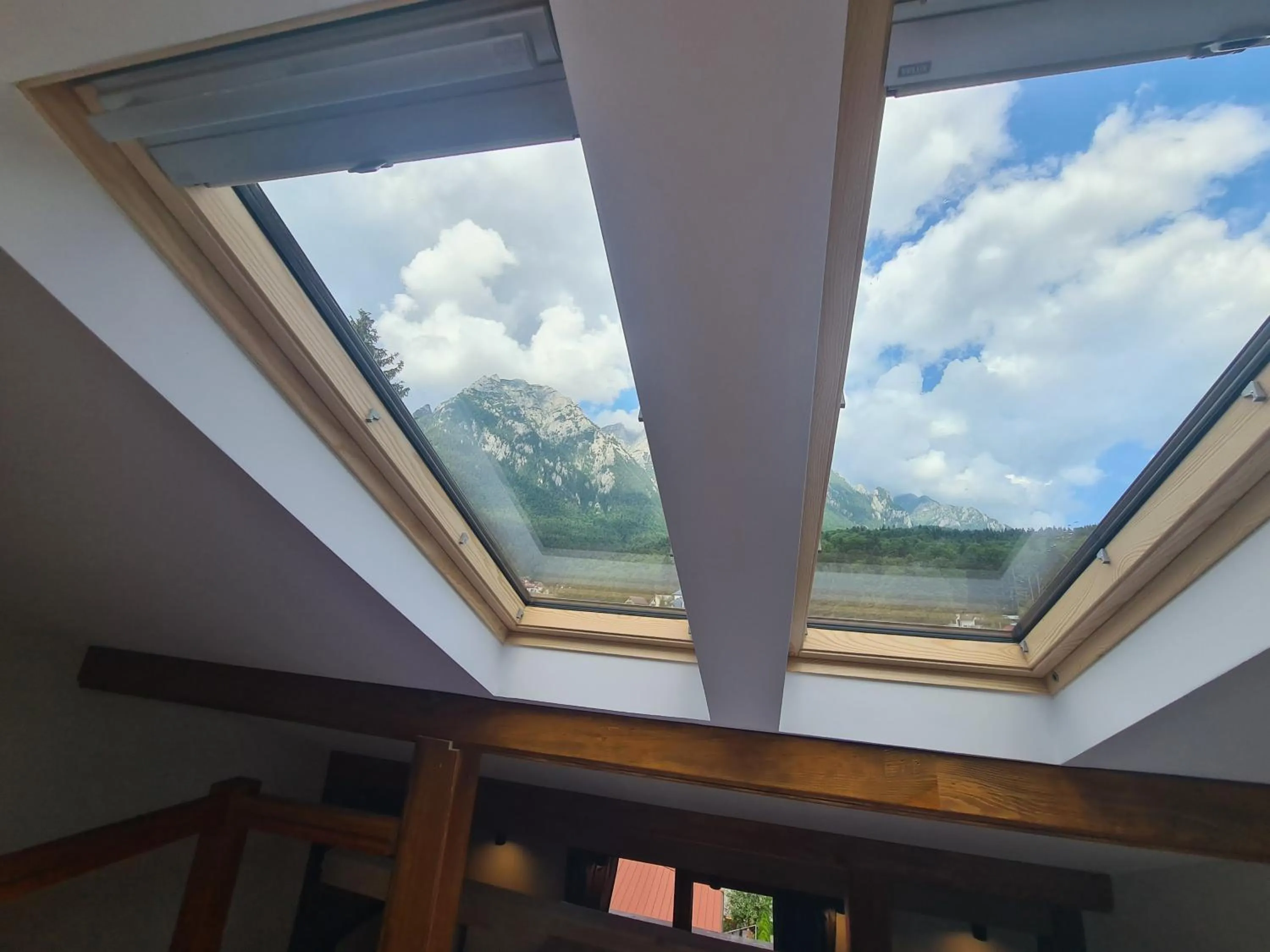 Natural landscape in CASA FLORESCU