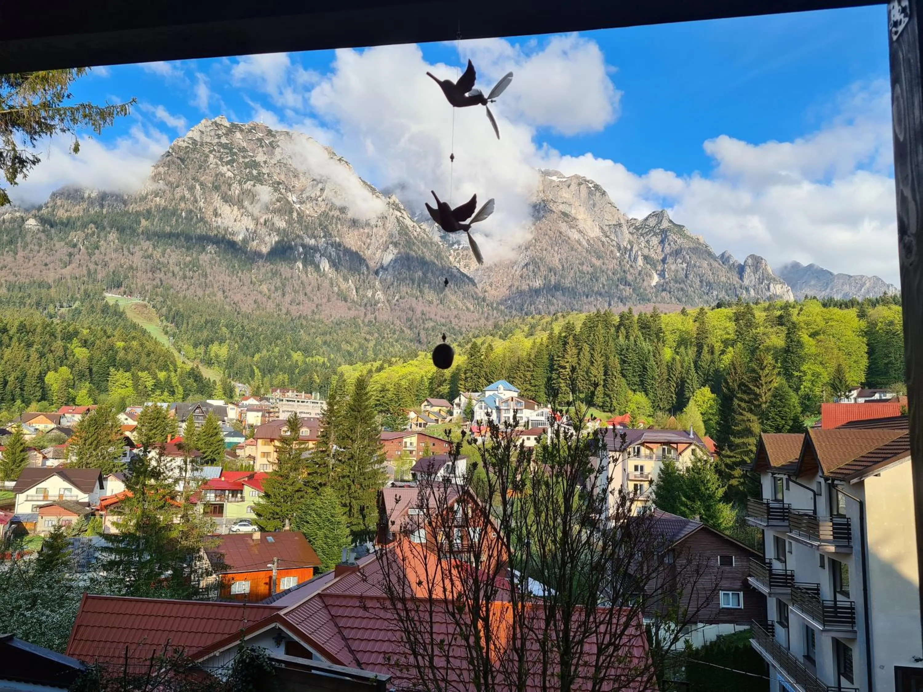 Natural landscape in CASA FLORESCU